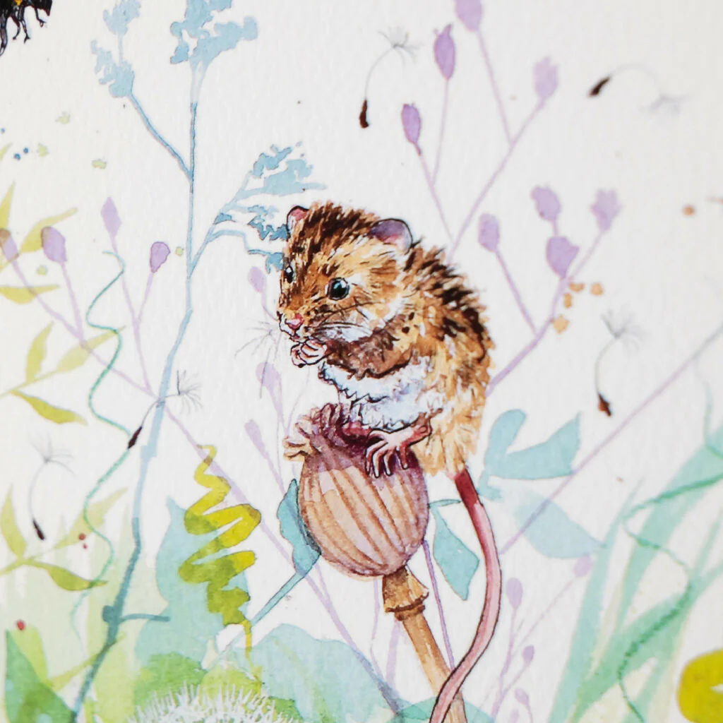 Harvest Mice & Poppies Limited Edition Print 'Hide and Squeak' | Jina Gelder Illustration - Image 7