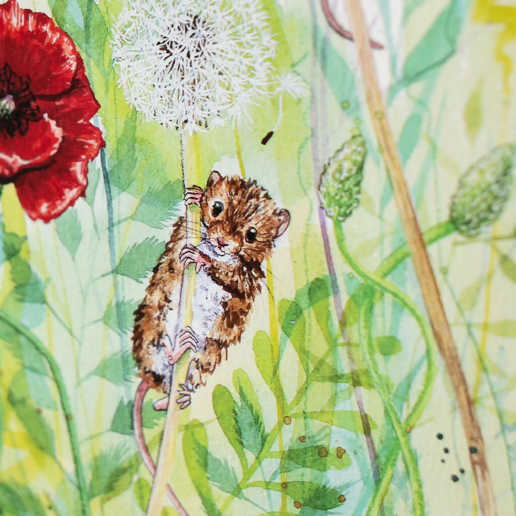 Harvest Mice & Poppies Limited Edition Print 'Hide and Squeak' | Jina Gelder Illustration - Image 8