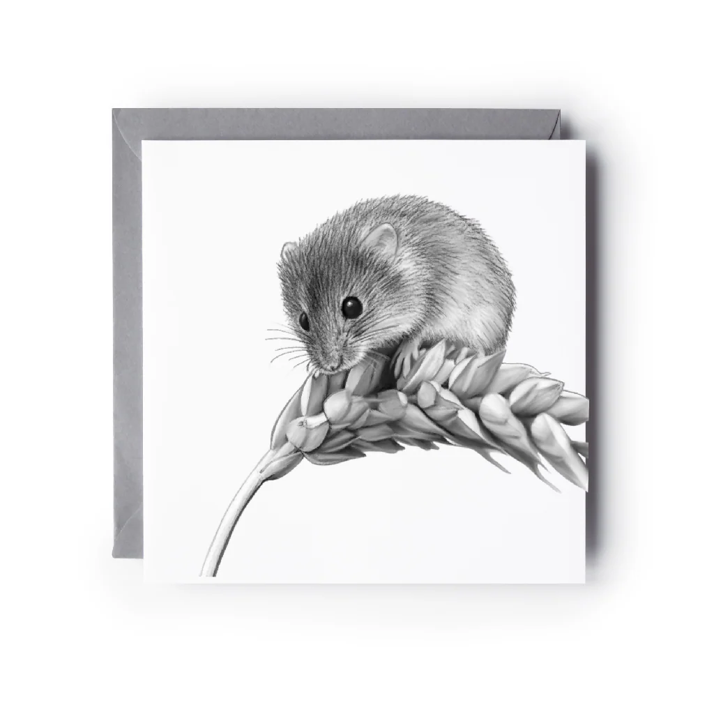 Harvest Mouse Hand Drawn Greeting Card – Cute Wildlife Illustration Countryside Card - Image 2