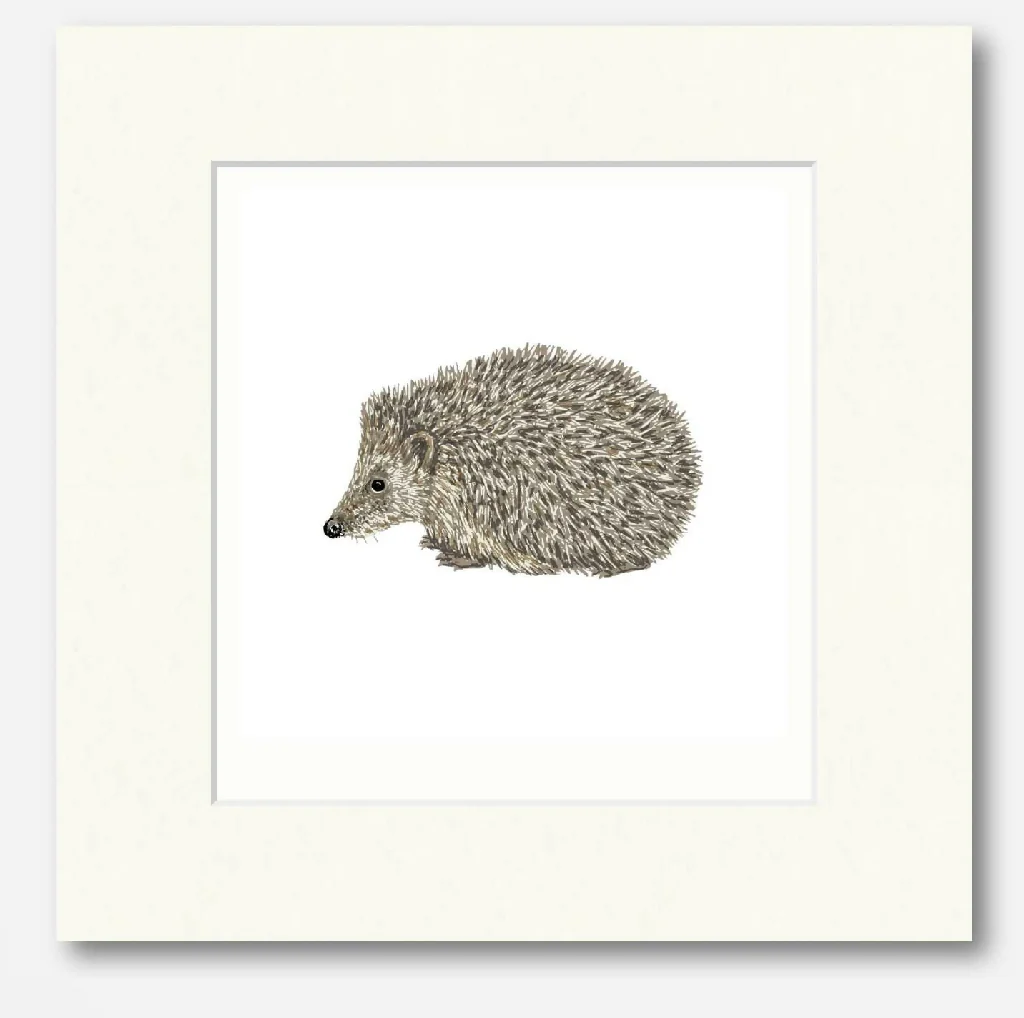 Hedgehog White -Signed and mounted Giclée Art Print - Image 3
