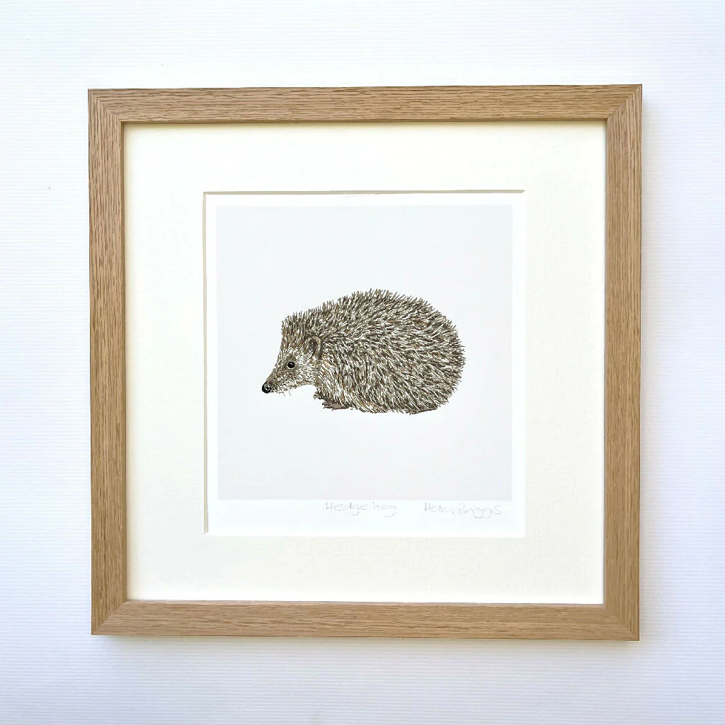 Hedgehog White -Signed and mounted Giclée Art Print - Image 4