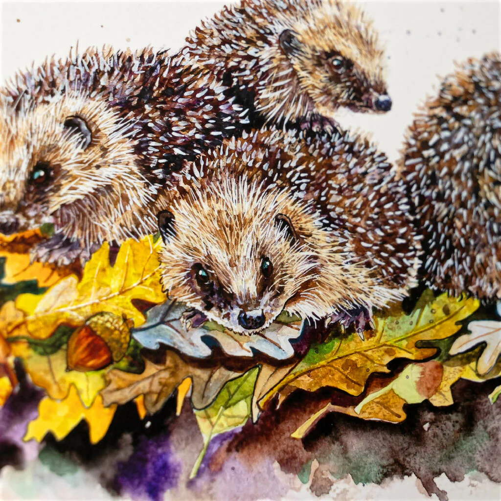 Hedgehogs Limited Edition Print 'Autumnal Snuggles' | Jina Gelder Illustration - Image 4