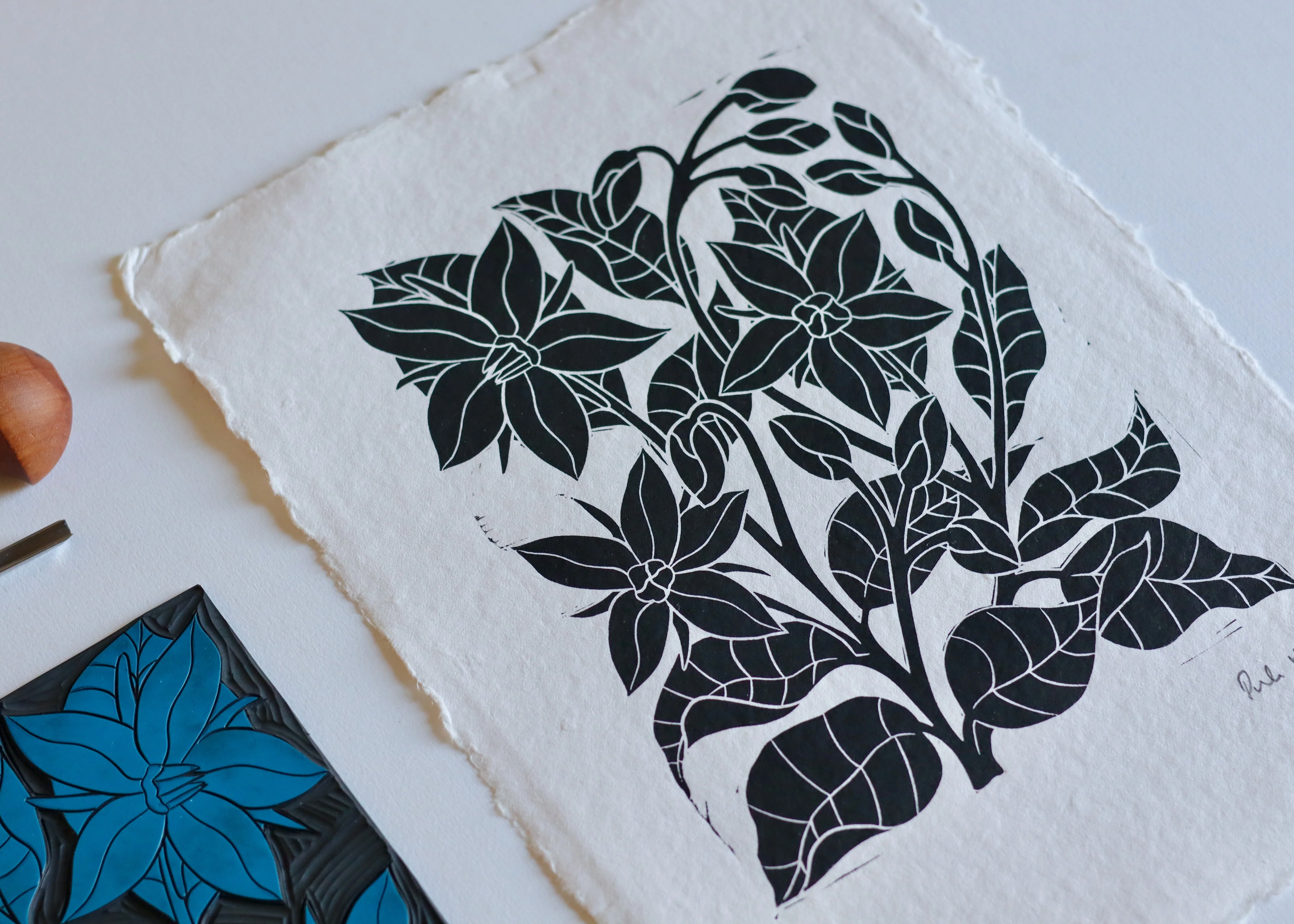 Heritage Kitchen Garden - Borage | Hand printed on Cotton Rag Paper - Image 2