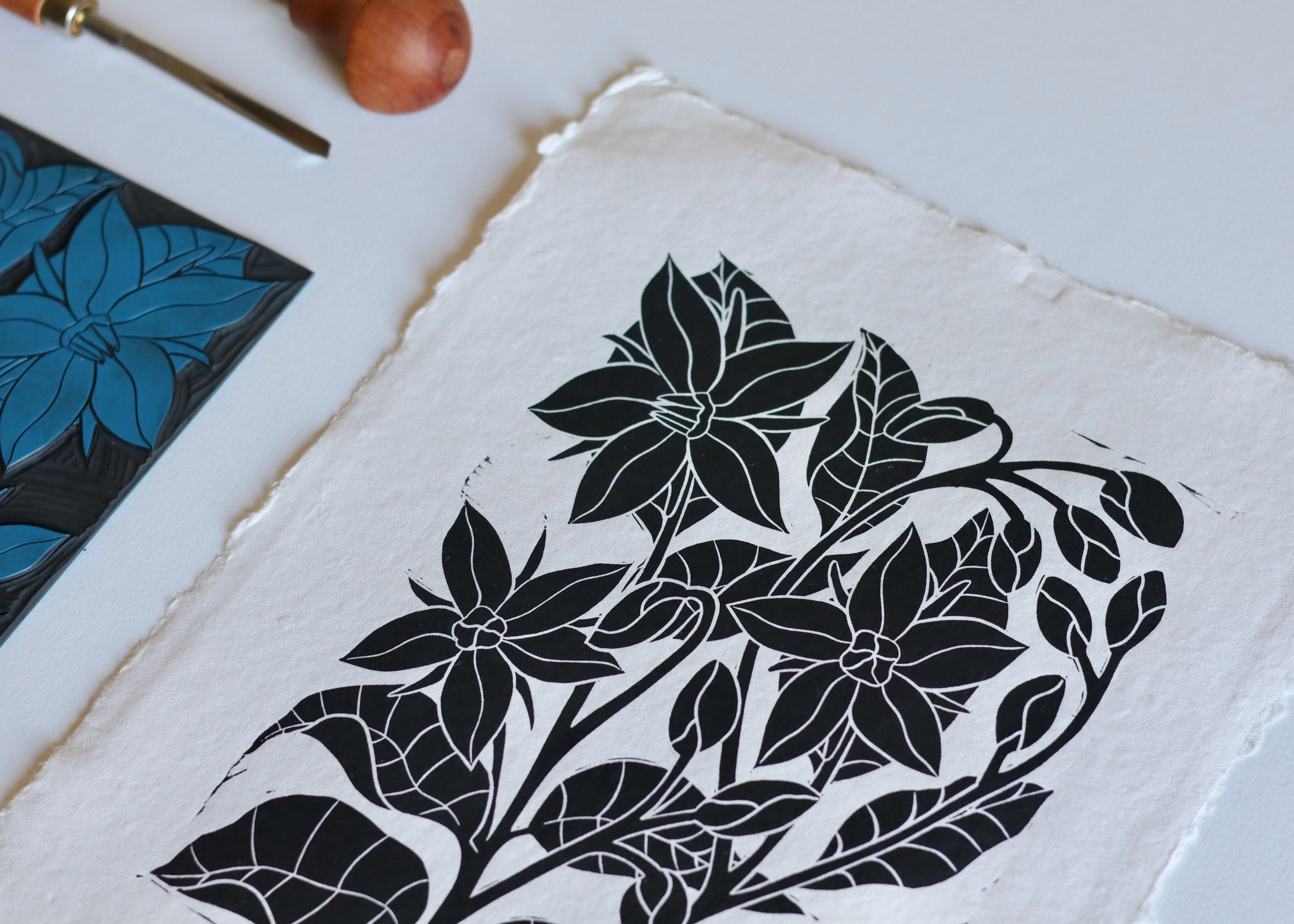 Heritage Kitchen Garden - Borage | Hand printed on Cotton Rag Paper - Image 3