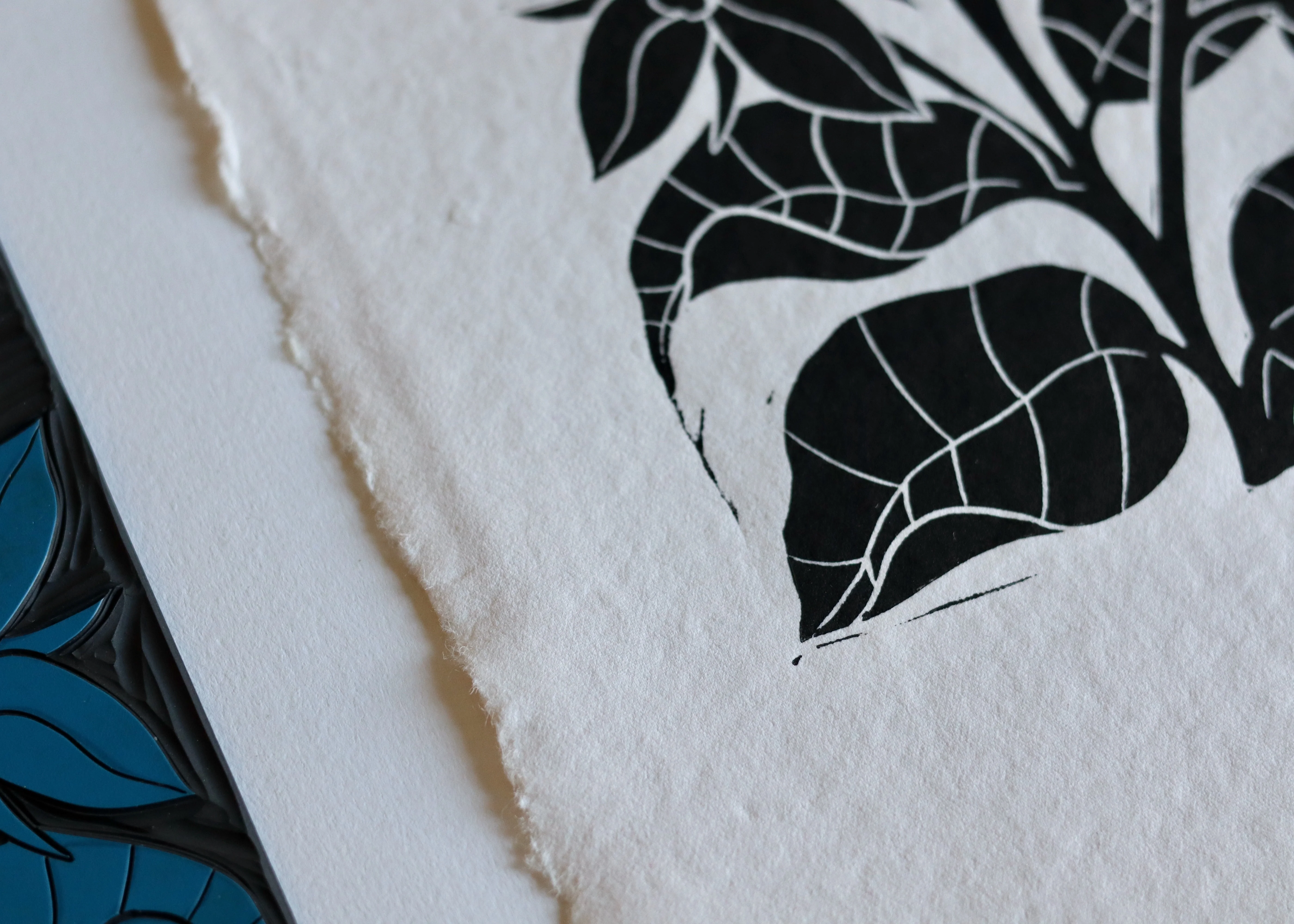 Heritage Kitchen Garden - Borage | Hand printed on Cotton Rag Paper - Image 5