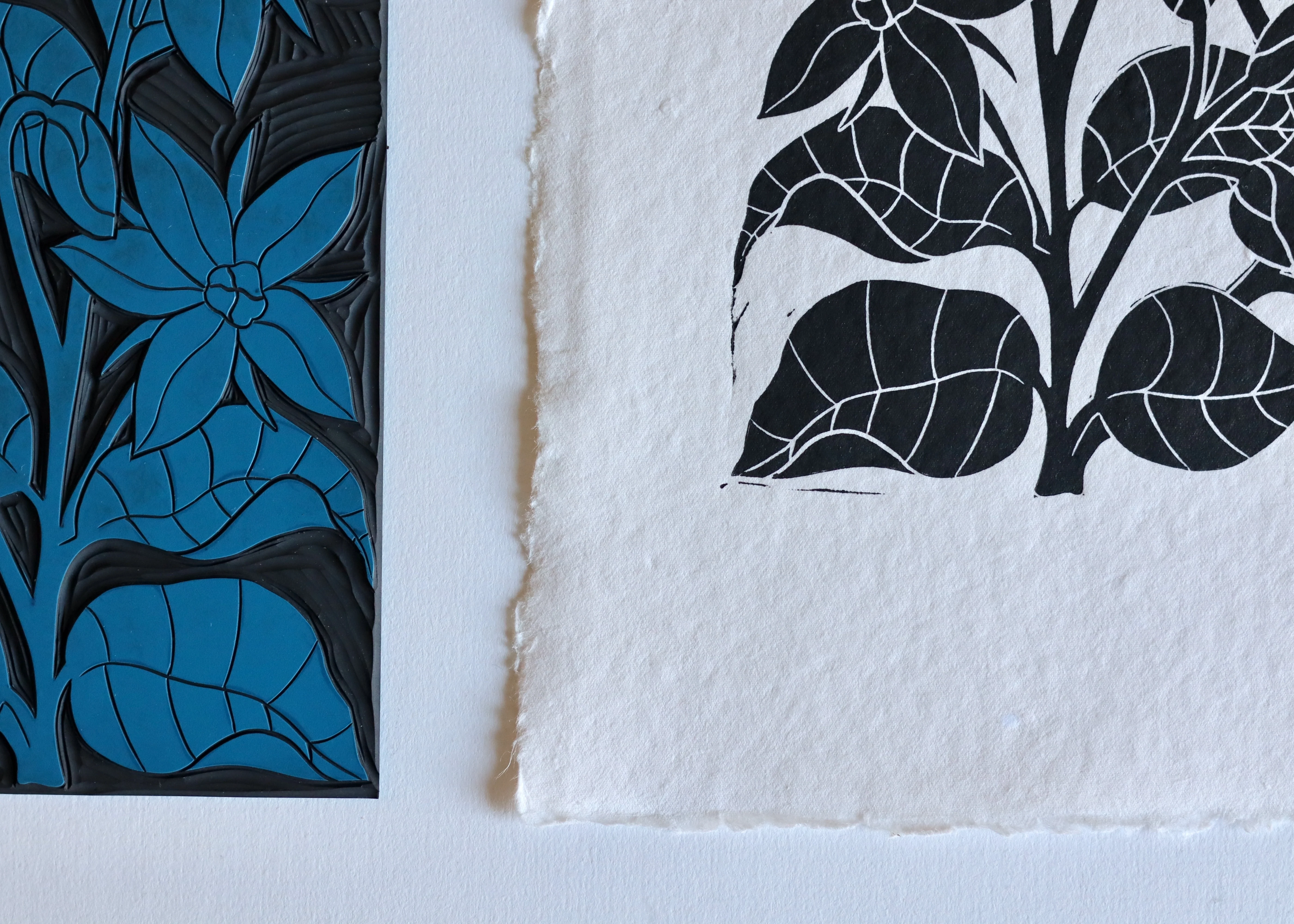 Heritage Kitchen Garden - Borage | Hand printed on Cotton Rag Paper - Image 6