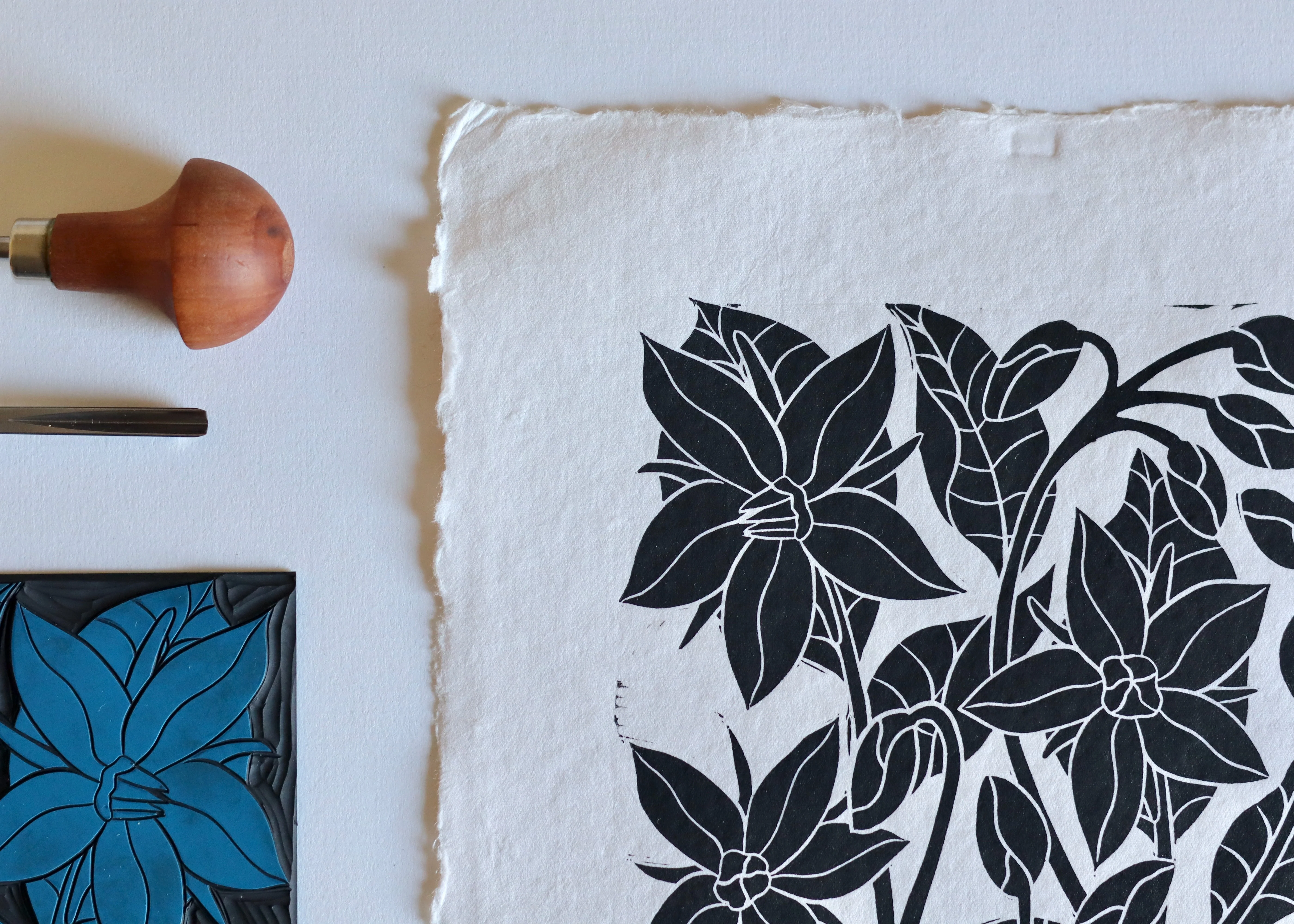 Heritage Kitchen Garden - Borage | Hand printed on Cotton Rag Paper - Image 7