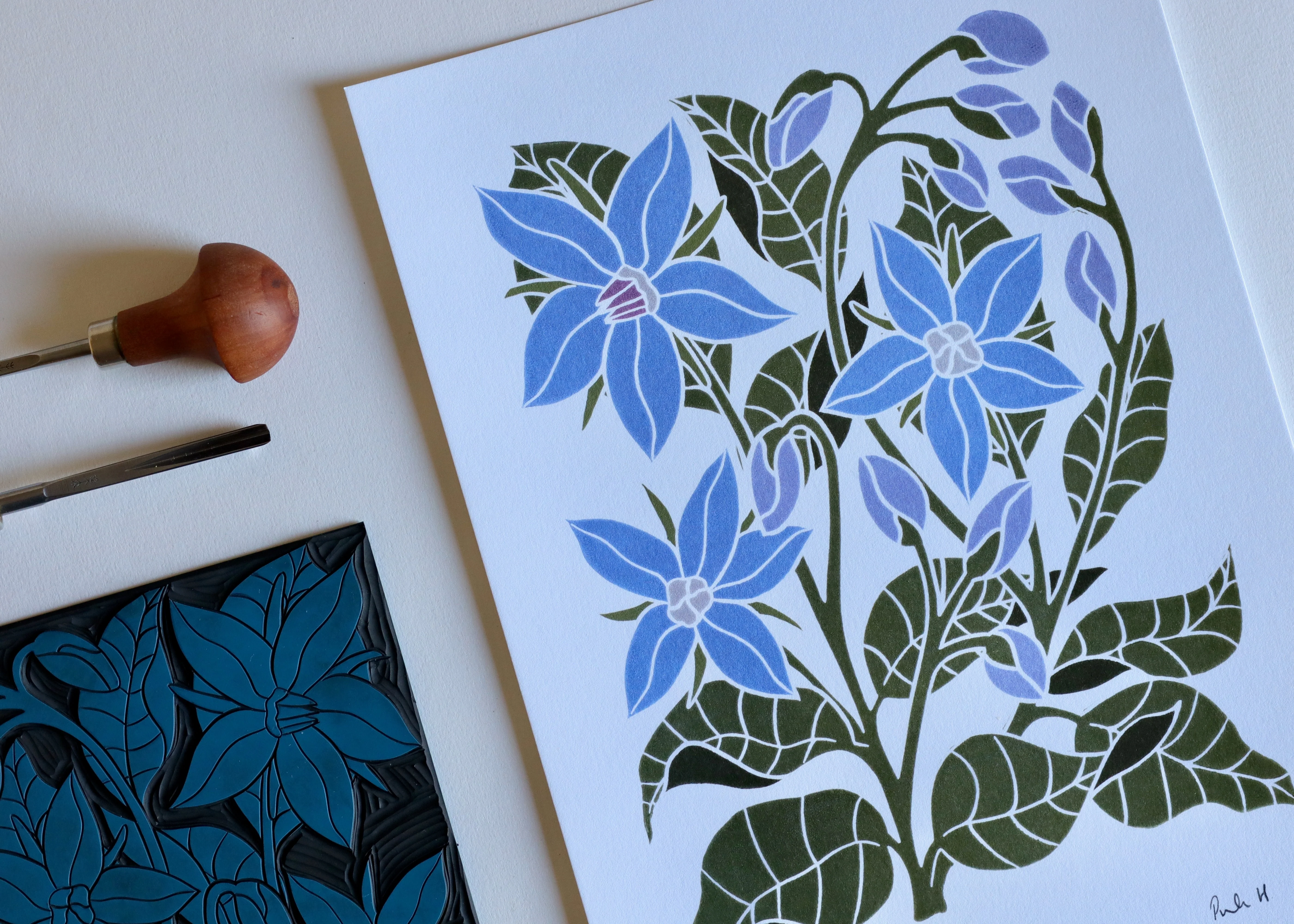 Heritage Kitchen Garden - Borage Linocut Art | A5 or A4 Art Print on Cotton Paper - Image 4