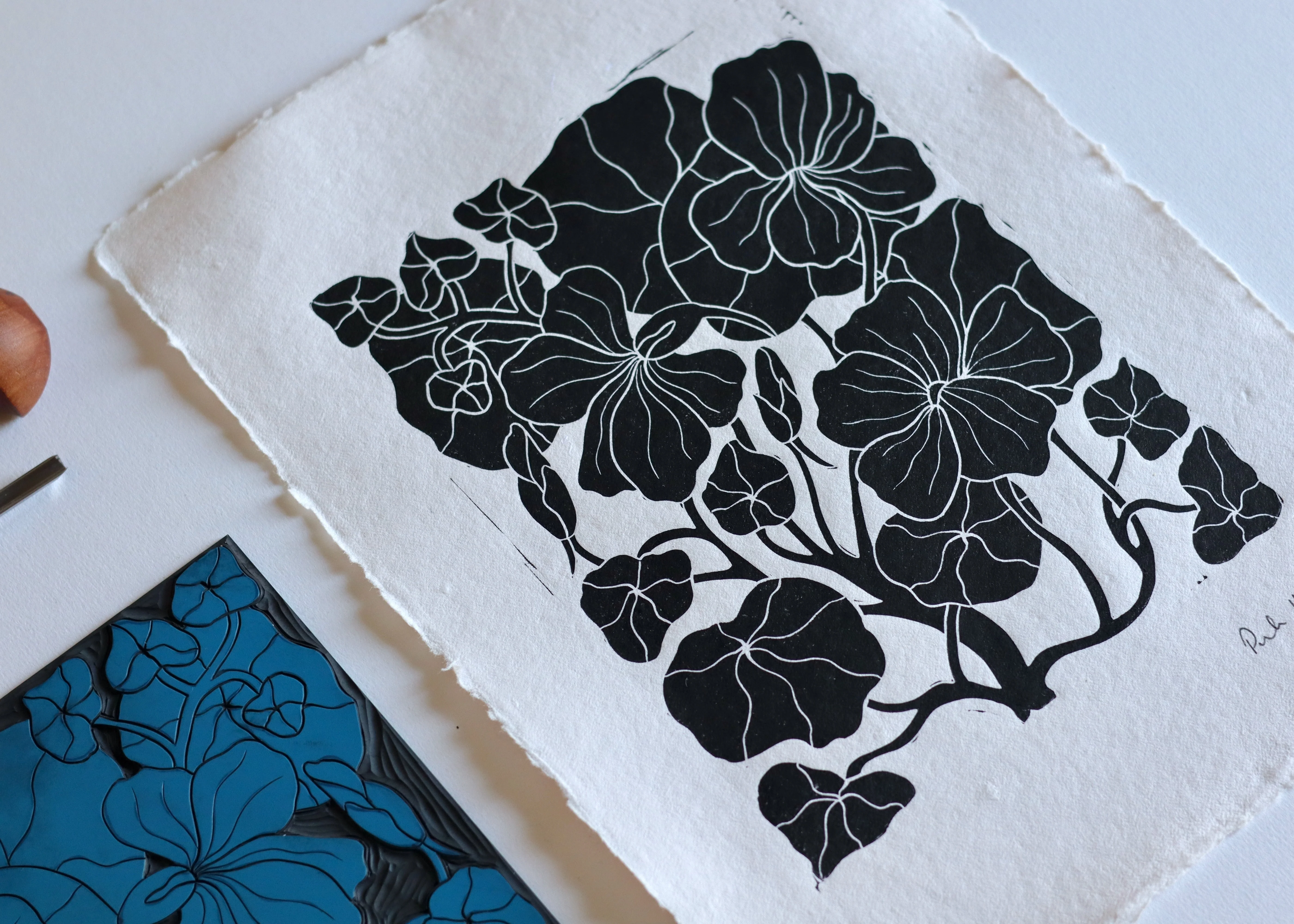 Heritage Kitchen Garden - Nasturtium | Hand printed on Cotton Rag Paper - Image 2