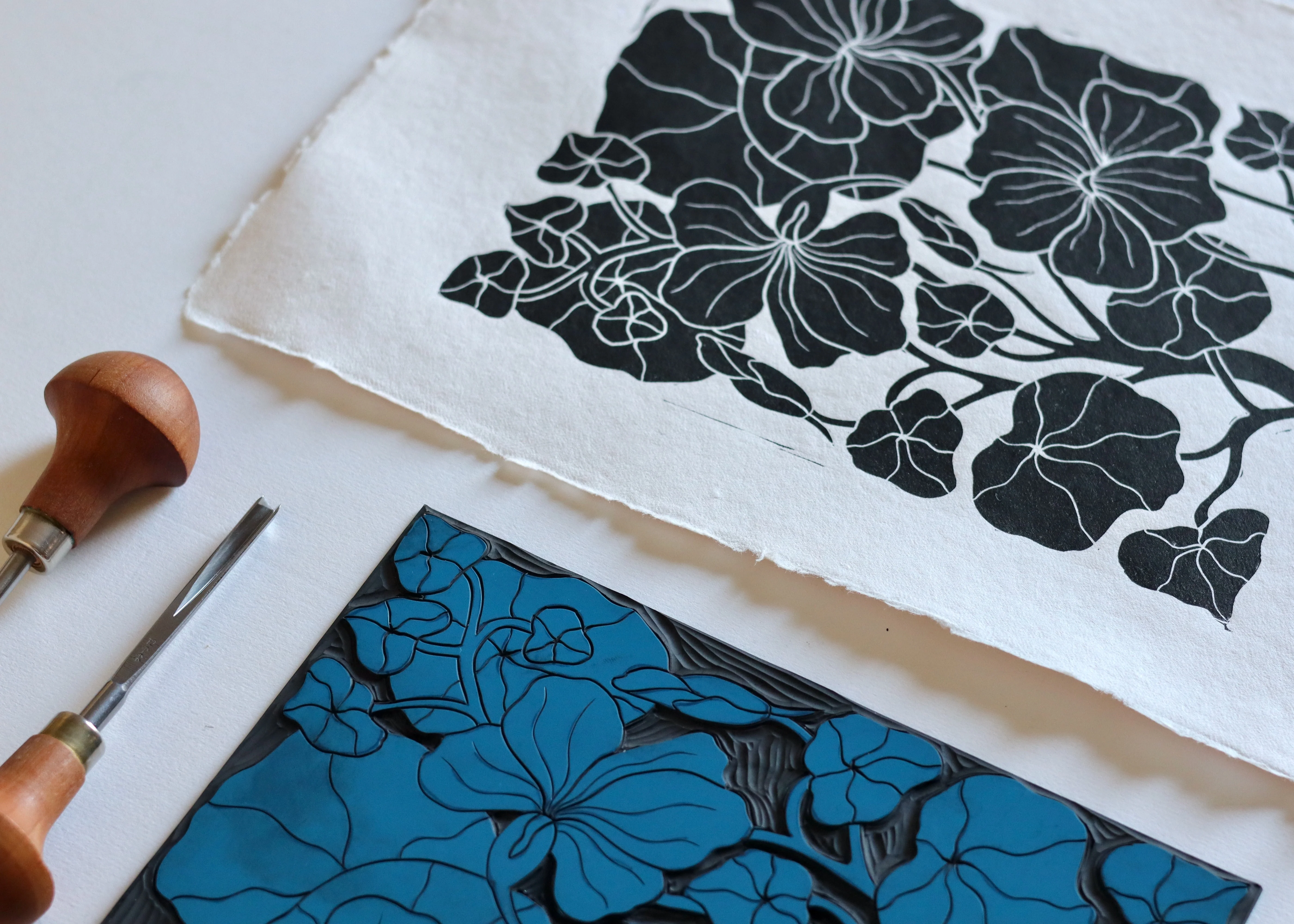 Heritage Kitchen Garden - Nasturtium | Hand printed on Cotton Rag Paper - Image 3