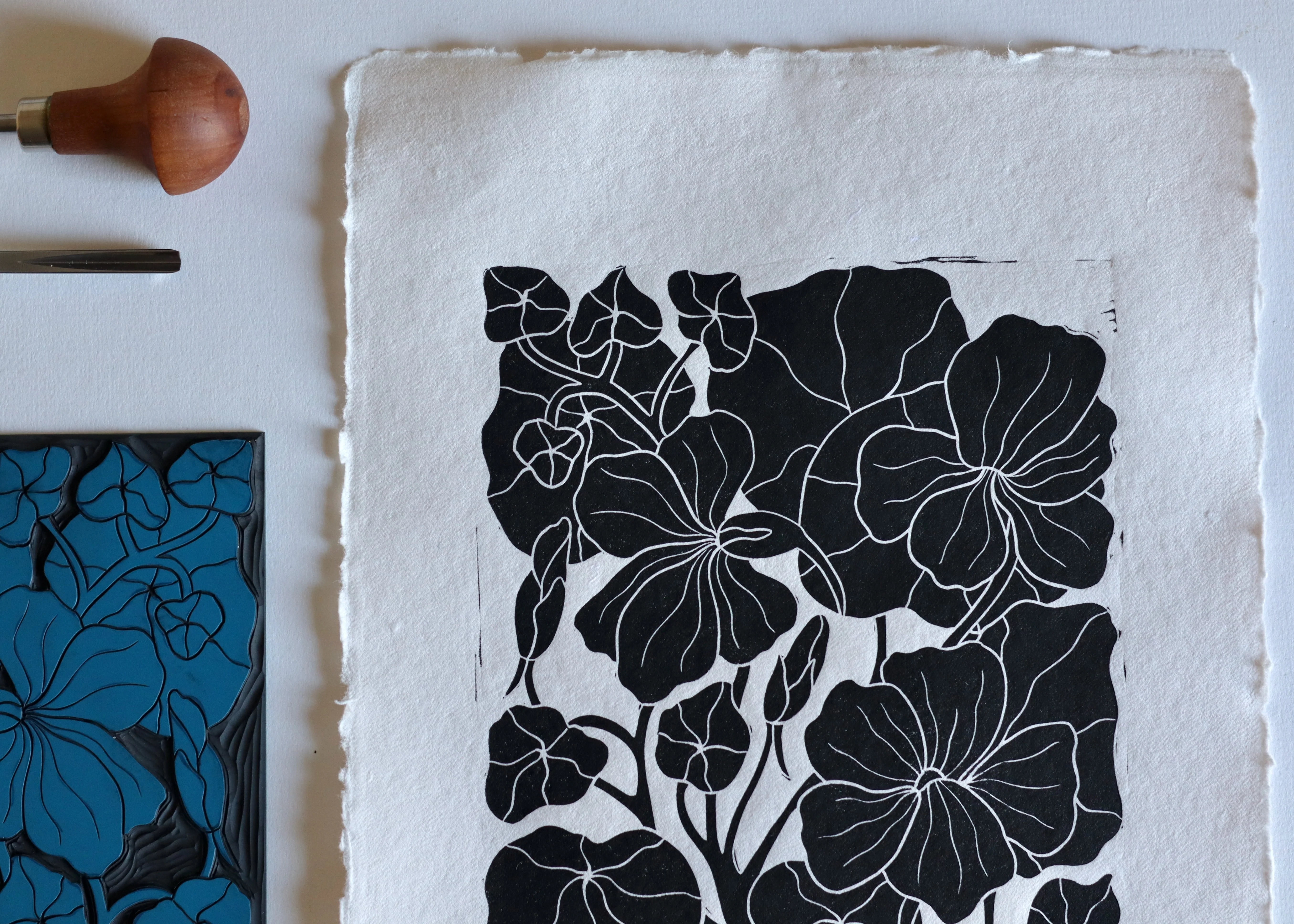 Heritage Kitchen Garden - Nasturtium | Hand printed on Cotton Rag Paper - Image 4