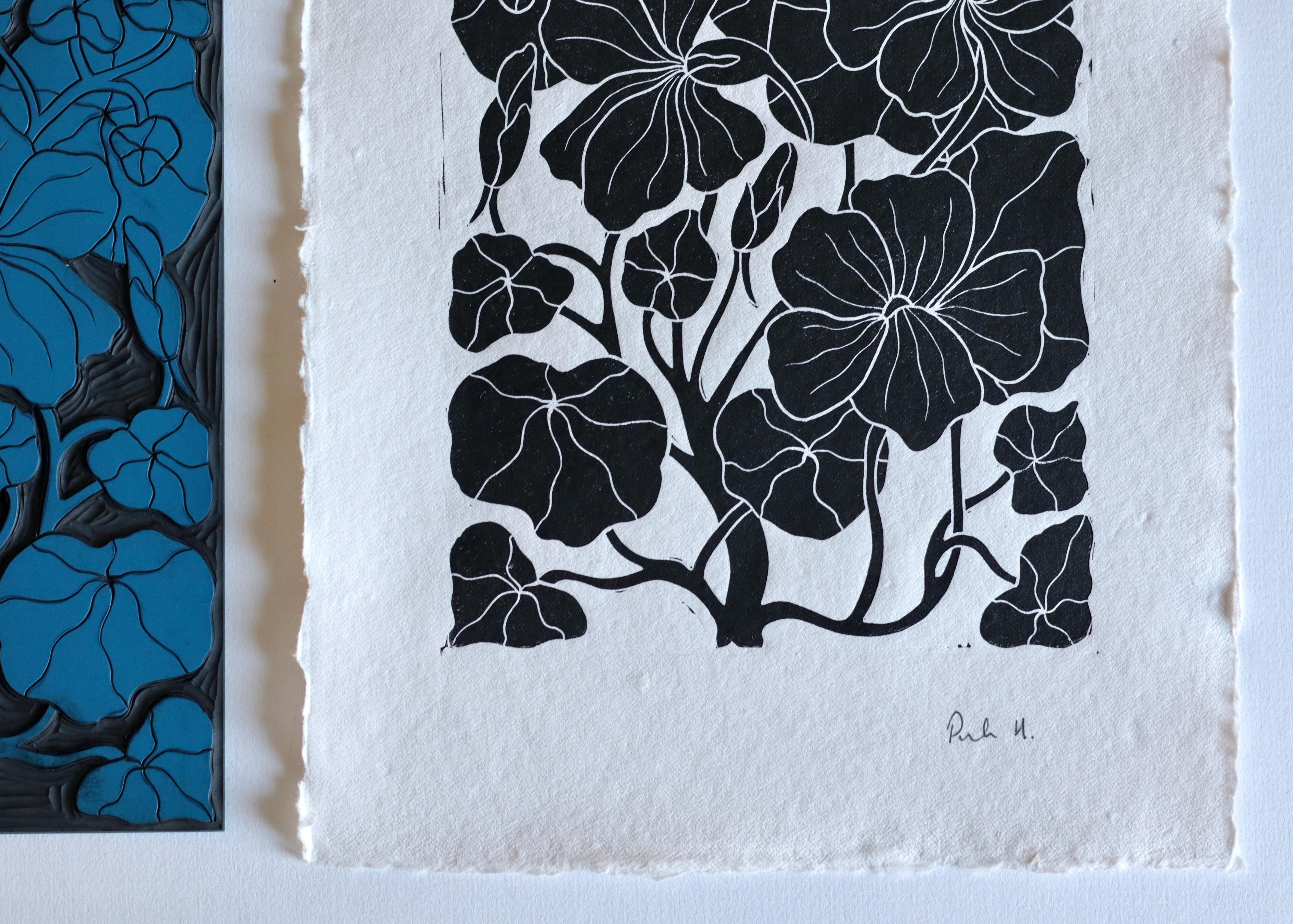Heritage Kitchen Garden - Nasturtium | Hand printed on Cotton Rag Paper - Image 5