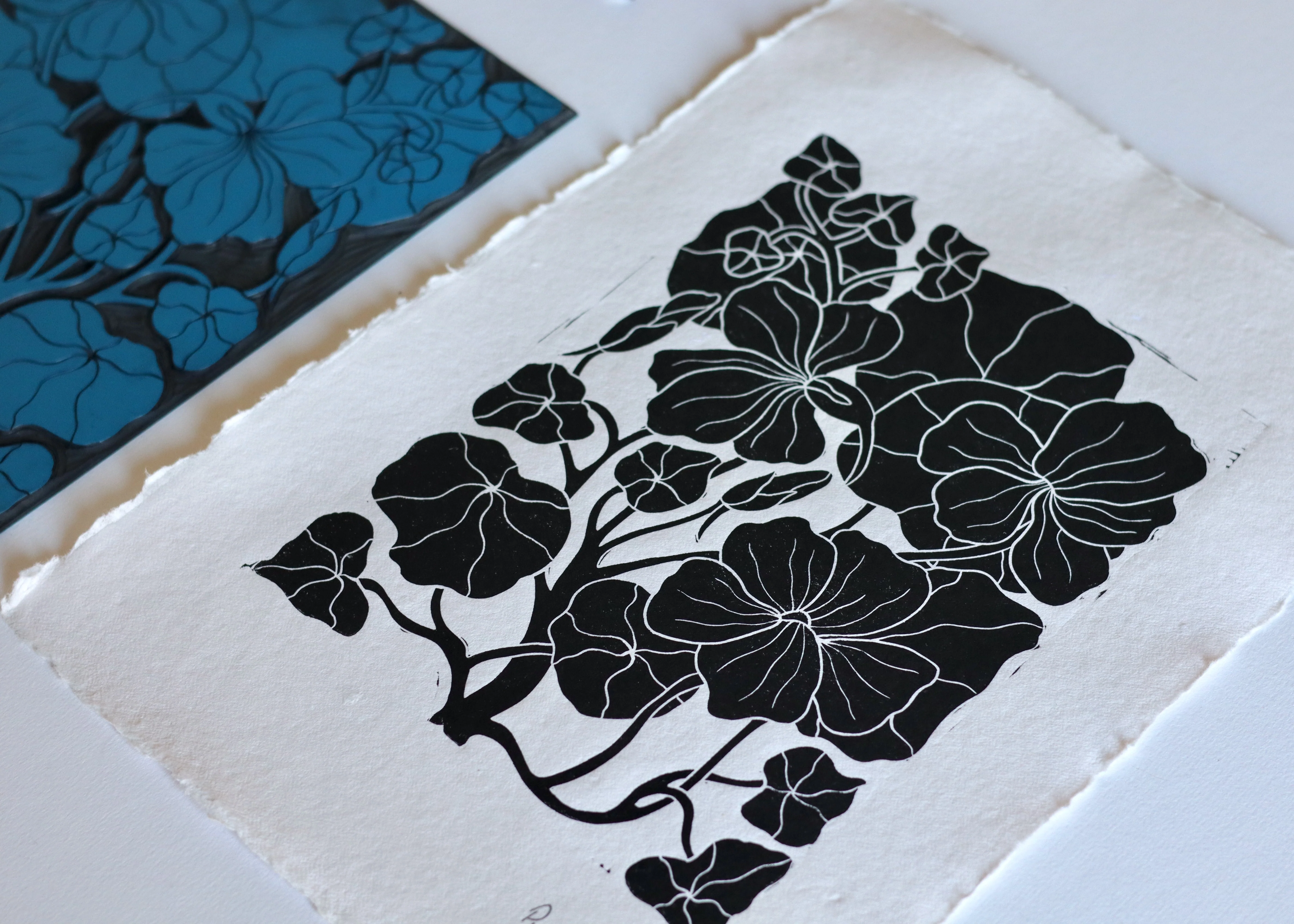 Heritage Kitchen Garden - Nasturtium | Hand printed on Cotton Rag Paper - Image 6