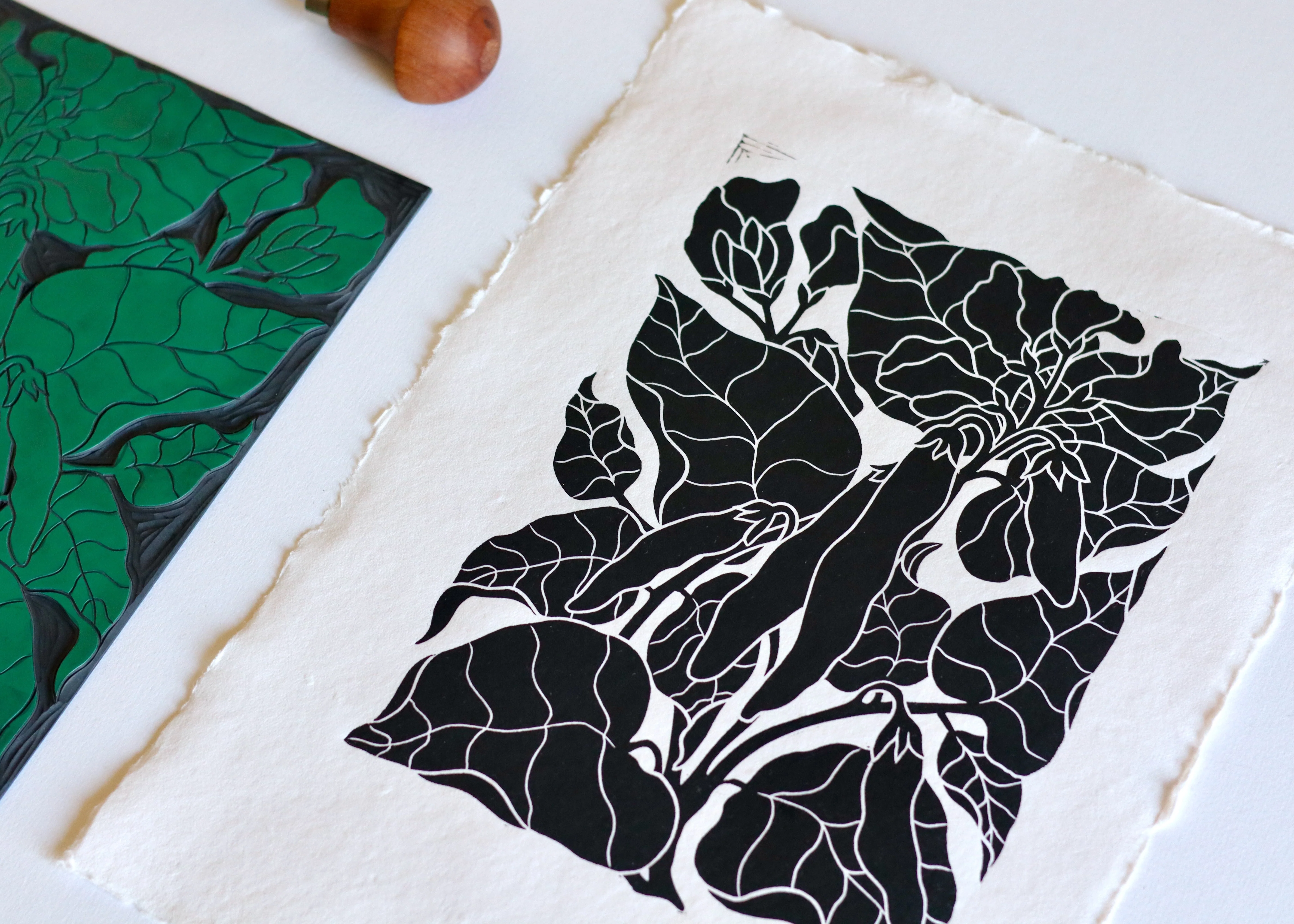 Heritage Kitchen Garden - Runner Beans | Hand printed on Cotton Rag Paper - Image 2