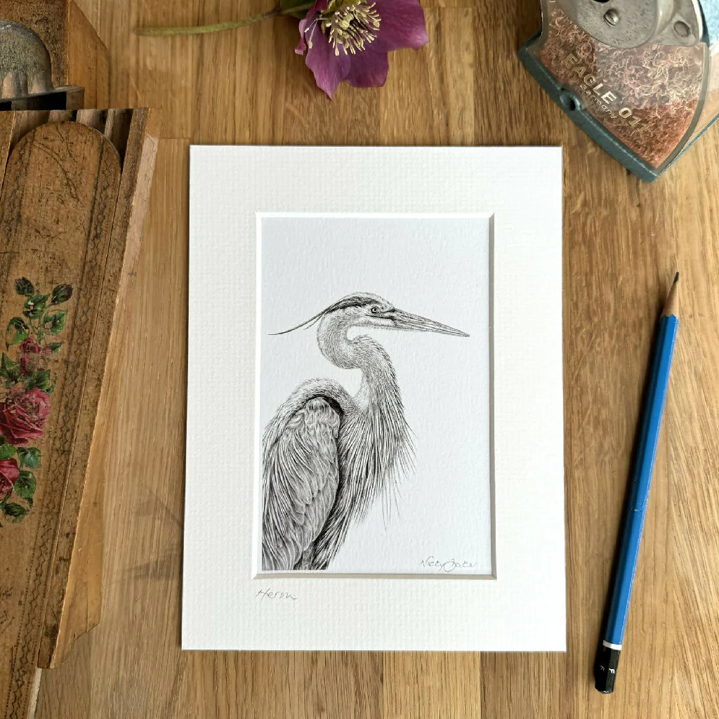 Heron Art Print Size 6" x 8" ~ Choice of 2 Designs - Image 3