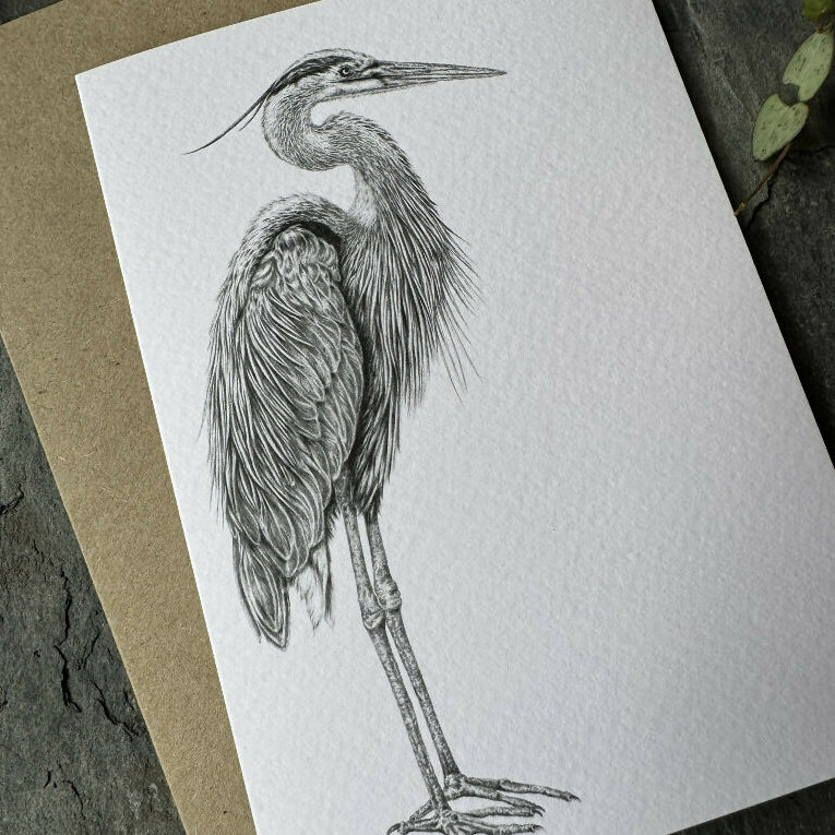 Heron Blank Greetings Card - Image 2