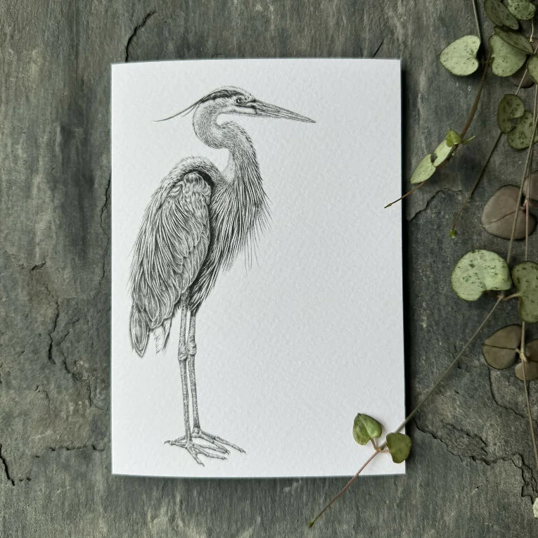 Heron Blank Greetings Card - Image 3