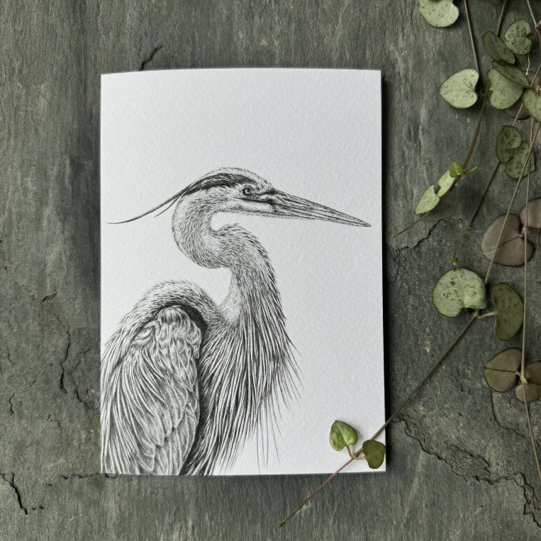 Heron Portrait Blank Greetings Card - Image 3