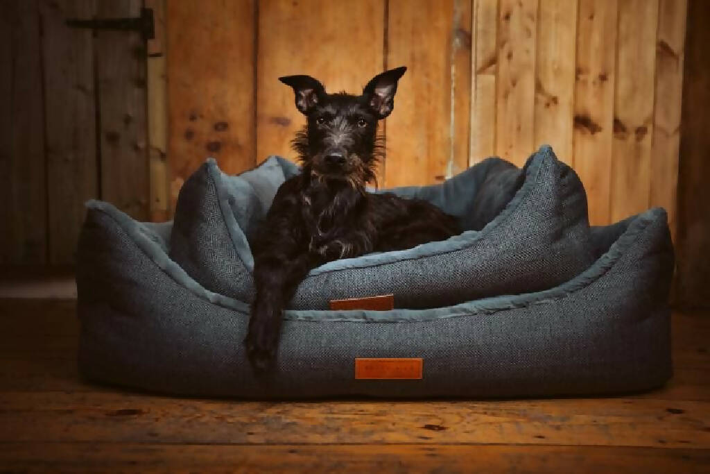 Luxury Herringbone Dog Bed With Removable Covers | Balmoral - Image 6