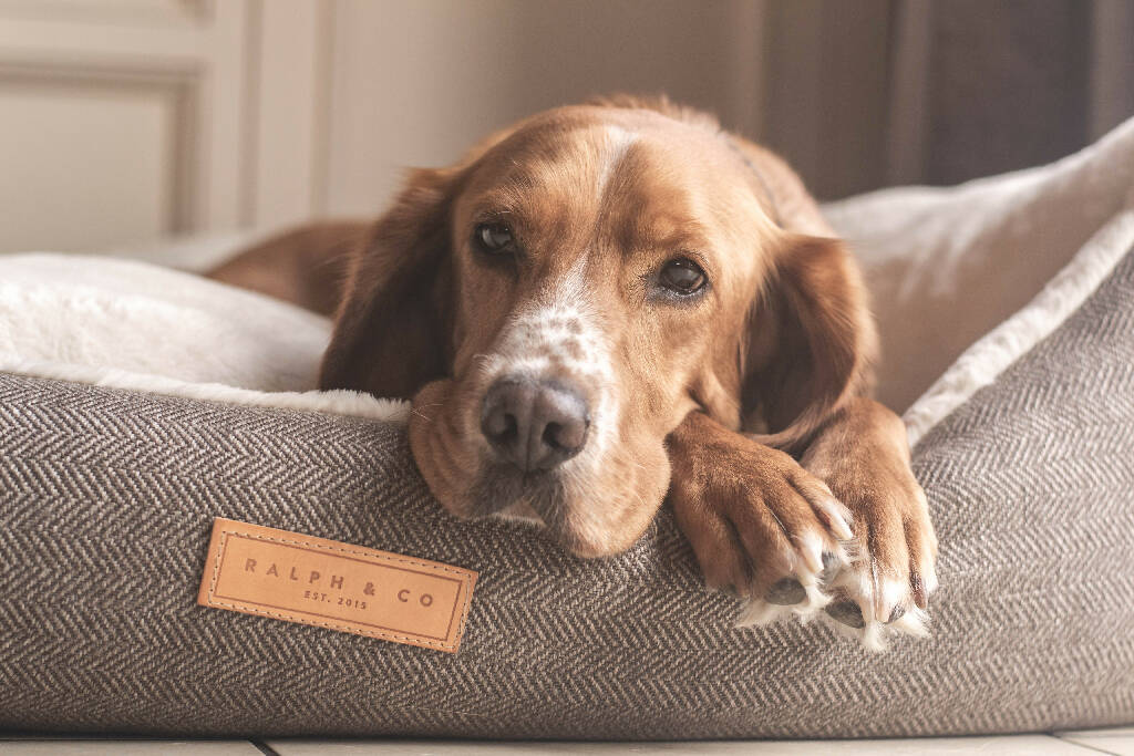 Luxury Tweed Dog Bed With Removable Covers | Lincoln - Image 3