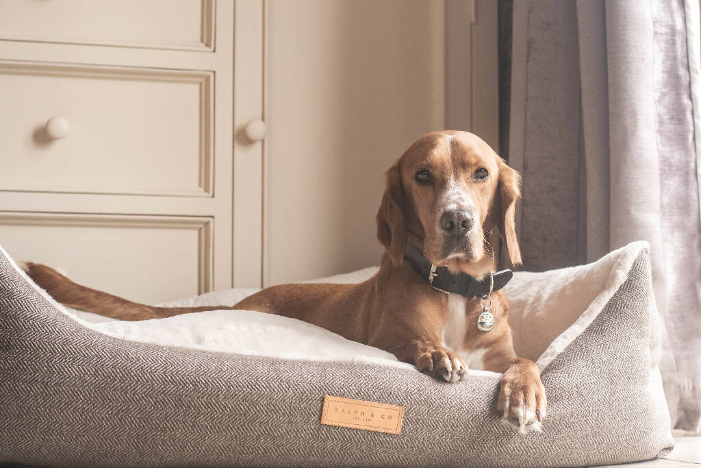 Luxury Tweed Dog Bed With Removable Covers | Lincoln - Image 6