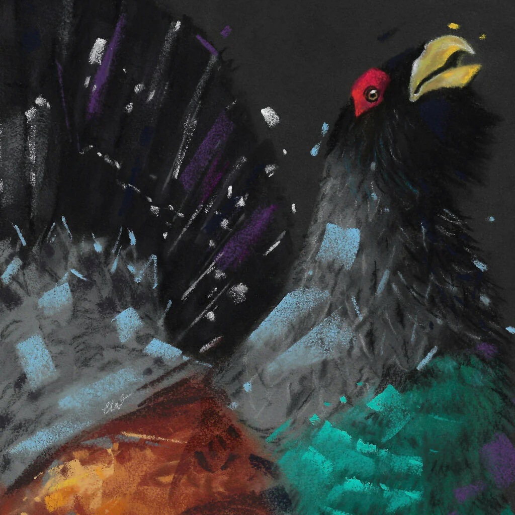 Highland Call Capercaillie Giclee Fine Art Print with Green Background - Image 2