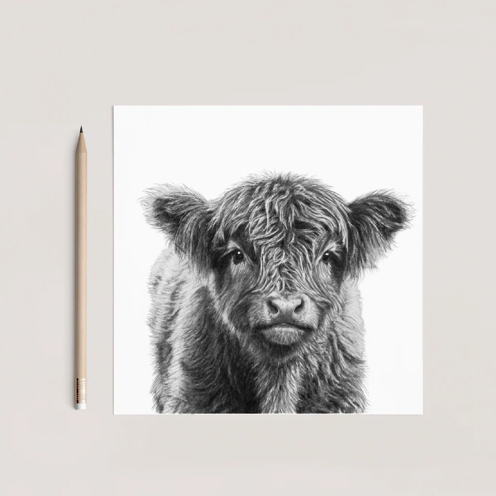 Highland Coo Calf Card – Cute Hand Drawn Highland Cow Baby Greeting Card - Image 3