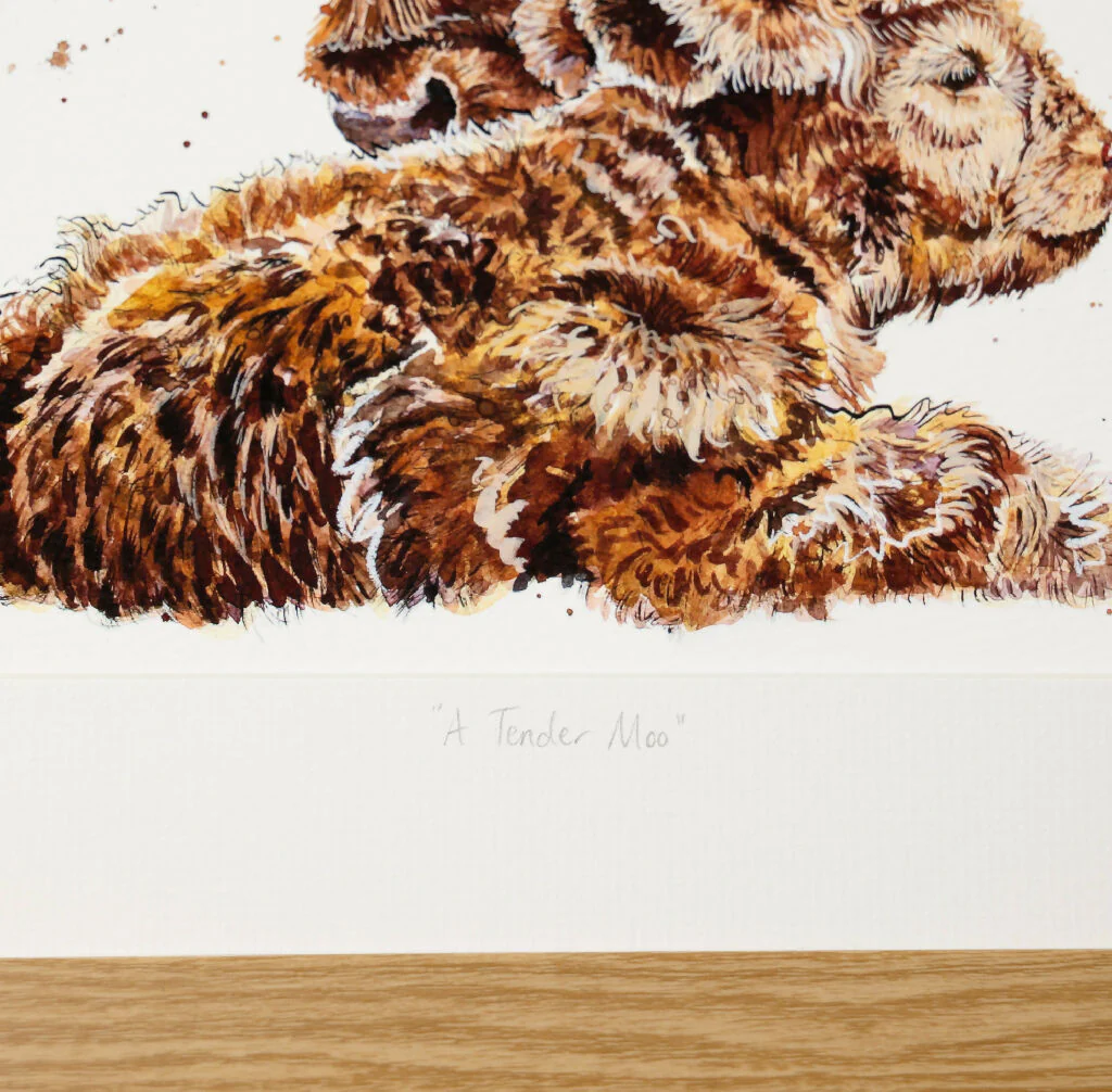 Highland Cow Limited Edition Print 'A Tender Moo' | Jina Gelder Illustration - Image 3