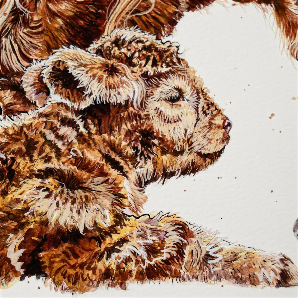 Highland Cow Limited Edition Print 'A Tender Moo' | Jina Gelder Illustration - Image 4
