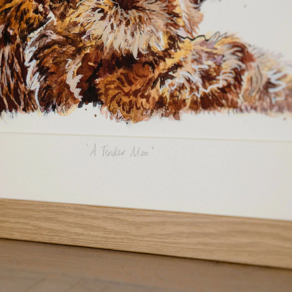 Highland Cow Limited Edition Print 'A Tender Moo' | Jina Gelder Illustration - Image 7