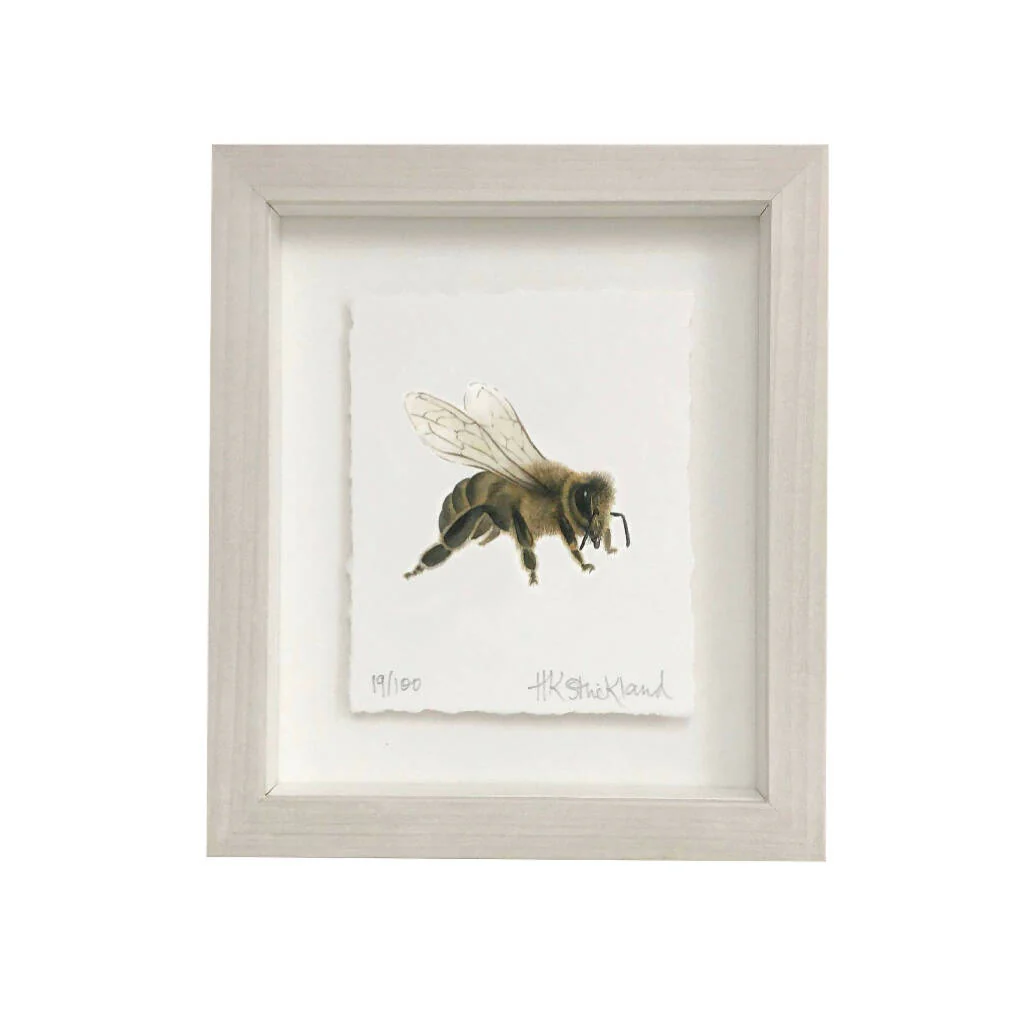 Honey Bee Framed Print - Image 2