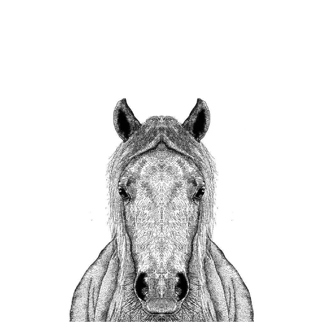 Horse Greeting Card - Image 3