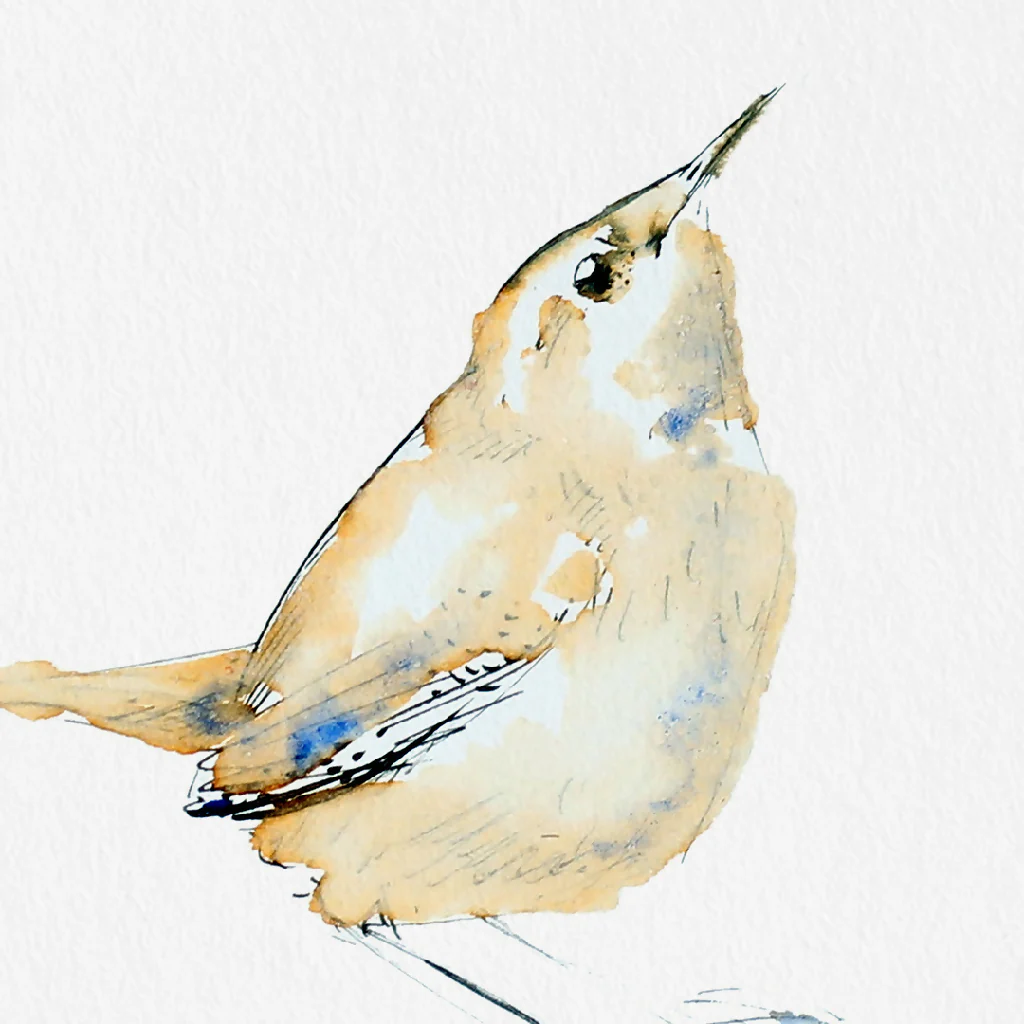 Inky birds Set of Two Giclée Fine Art Prints - Image 4