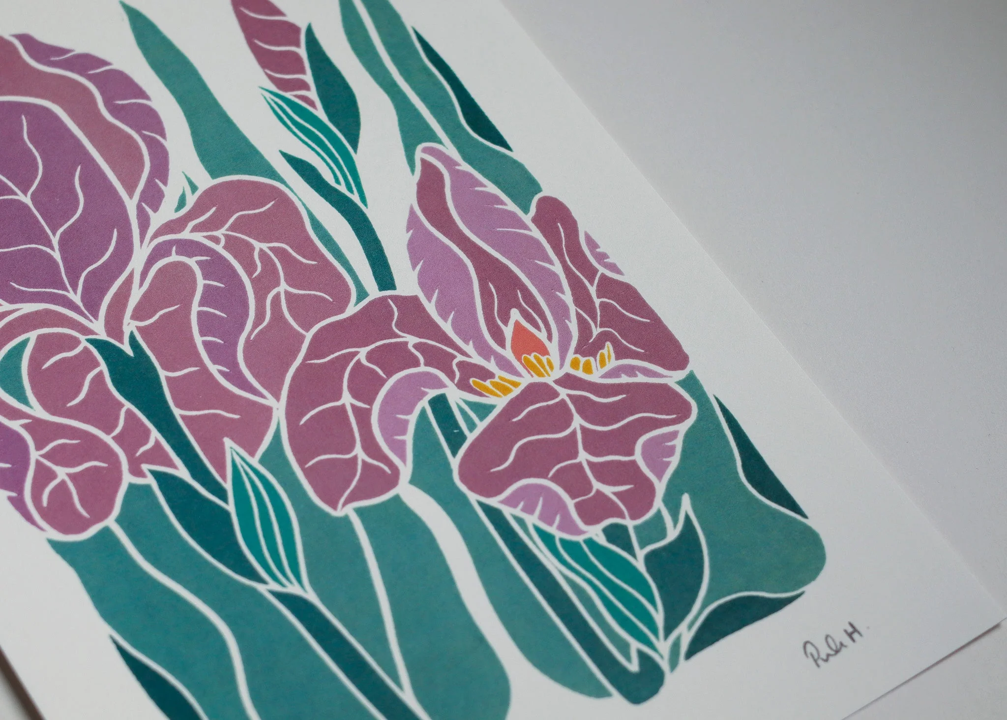 Iris at Dusk | Art Print on Cotton Paper - Image 5