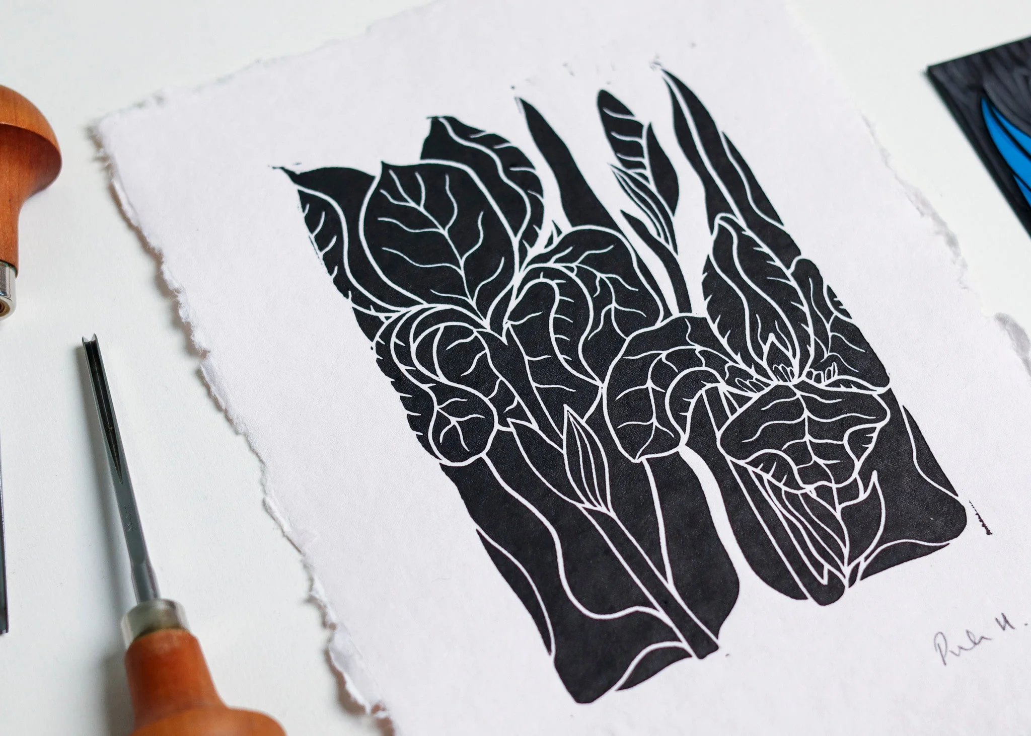 Iris in the Garden Linocut | Handprinted A5 Art Print on Cotton Rag Paper - Image 2
