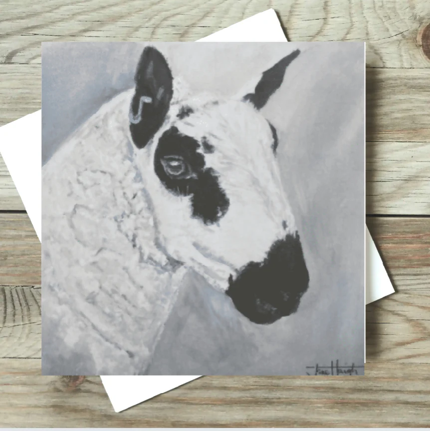 Kerry Hill Sheep Card