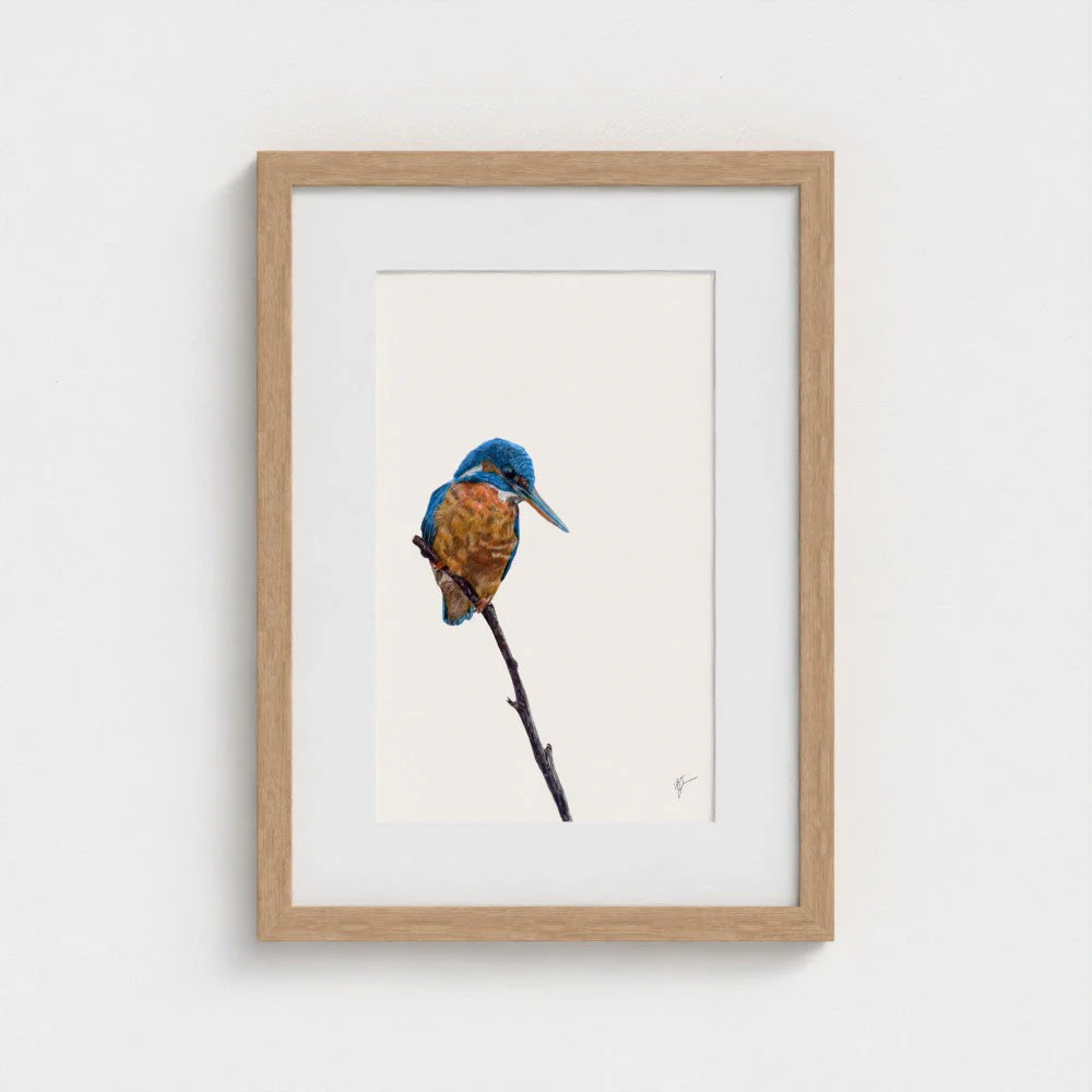 Kingfisher Art Print | British Wildlife Wall Art | Open Edition - Image 12