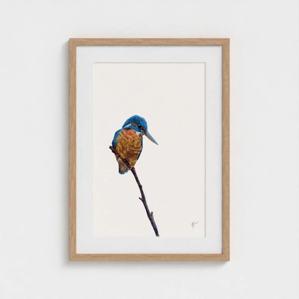 Kingfisher Art Print | British Wildlife Wall Art | Open Edition - Image 13