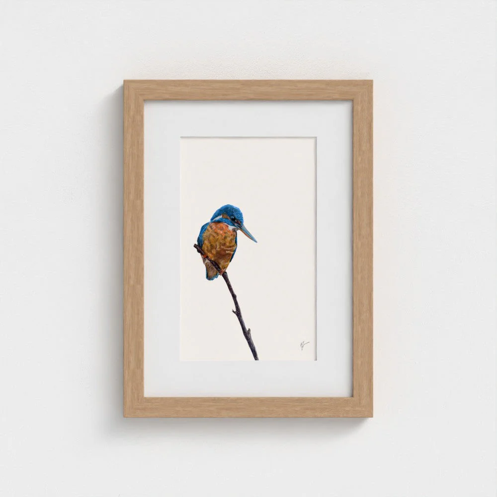 Kingfisher Art Print | British Wildlife Wall Art | Open Edition - Image 14