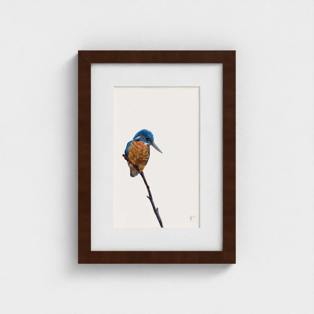 Kingfisher Art Print | British Wildlife Wall Art | Open Edition - Image 16