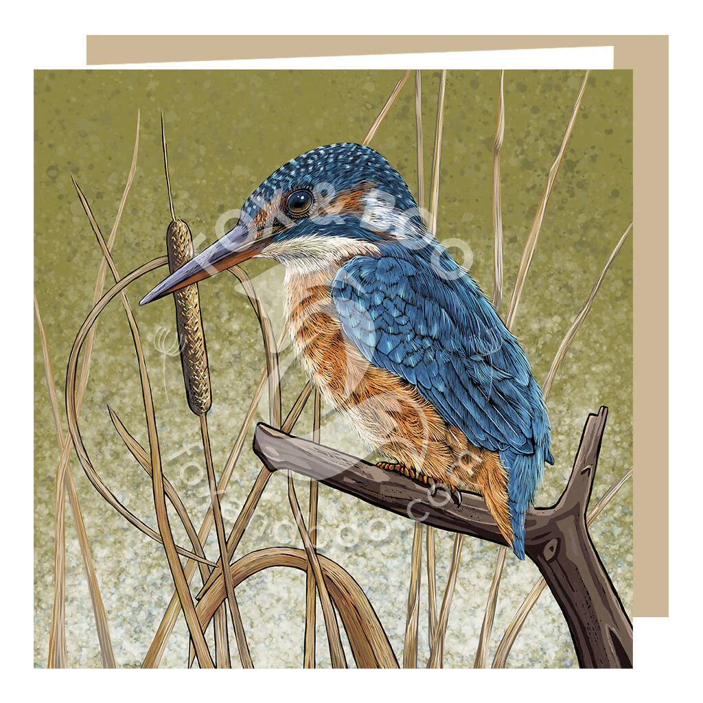 Kingfisher Blues Greeting Card