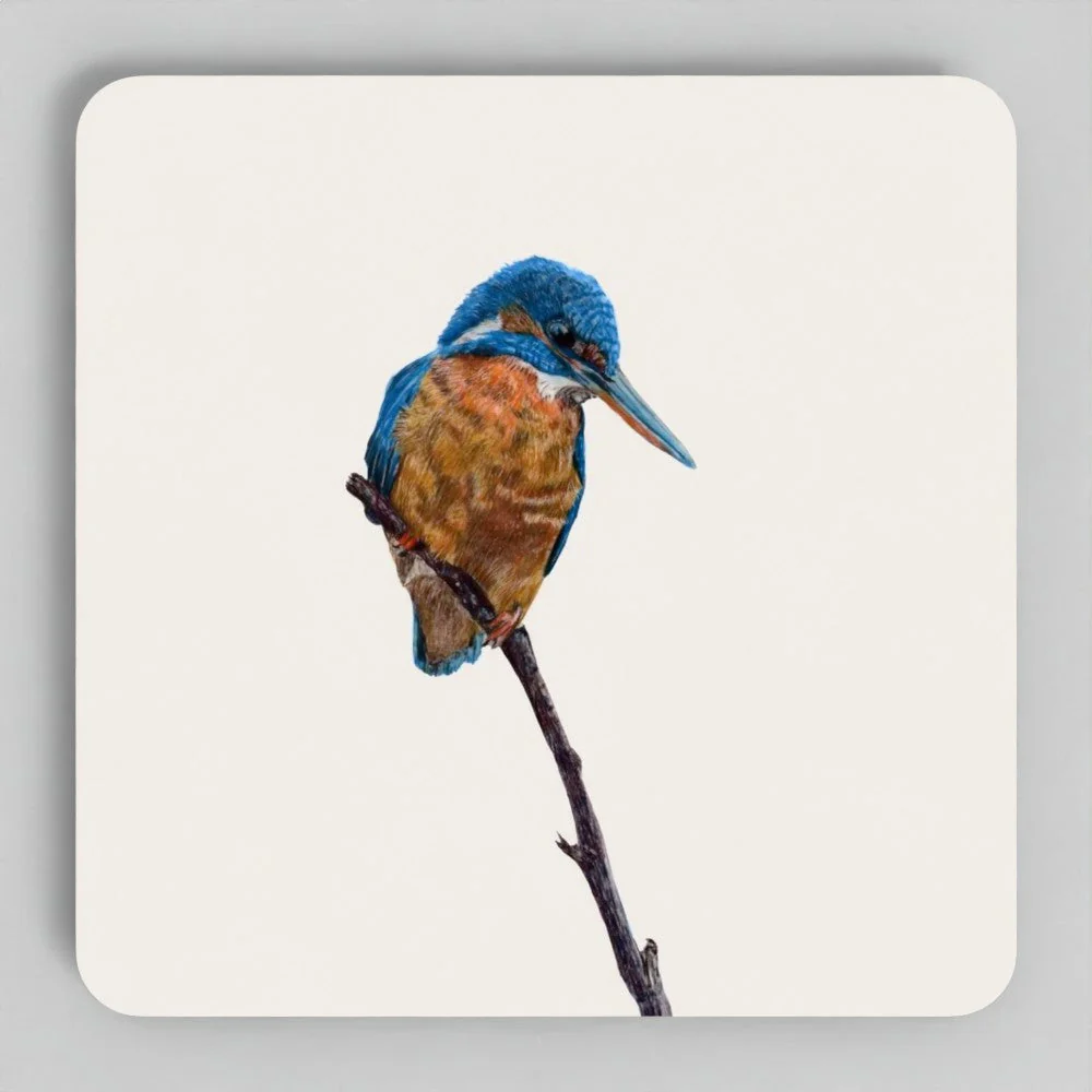 Kingfisher Coaster Set - British Wildlife Art - Image 2