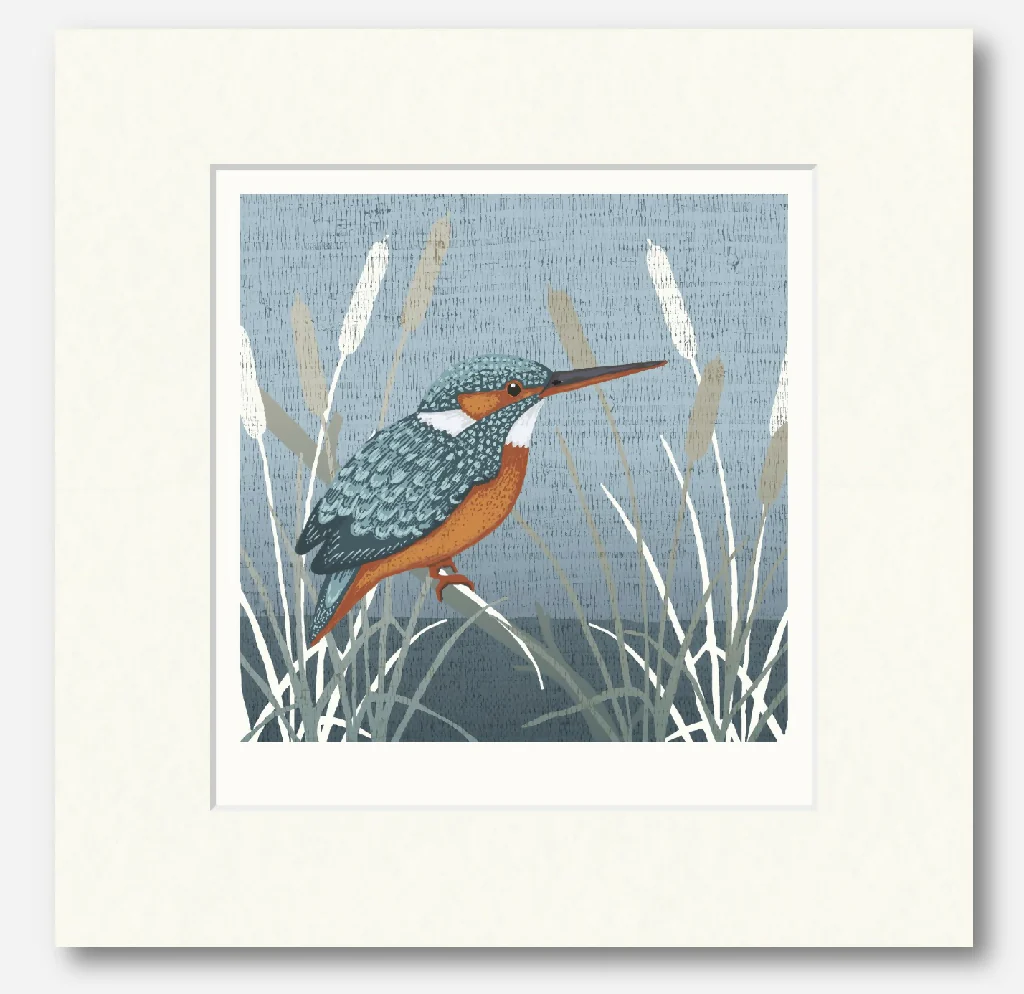 Kingfisher -Signed and mounted Giclée Art Print - Image 5