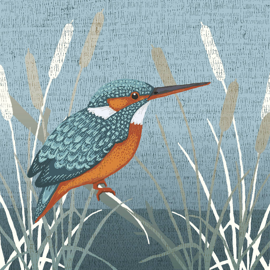 Kingfisher -Signed and mounted Giclée Art Print - Image 6