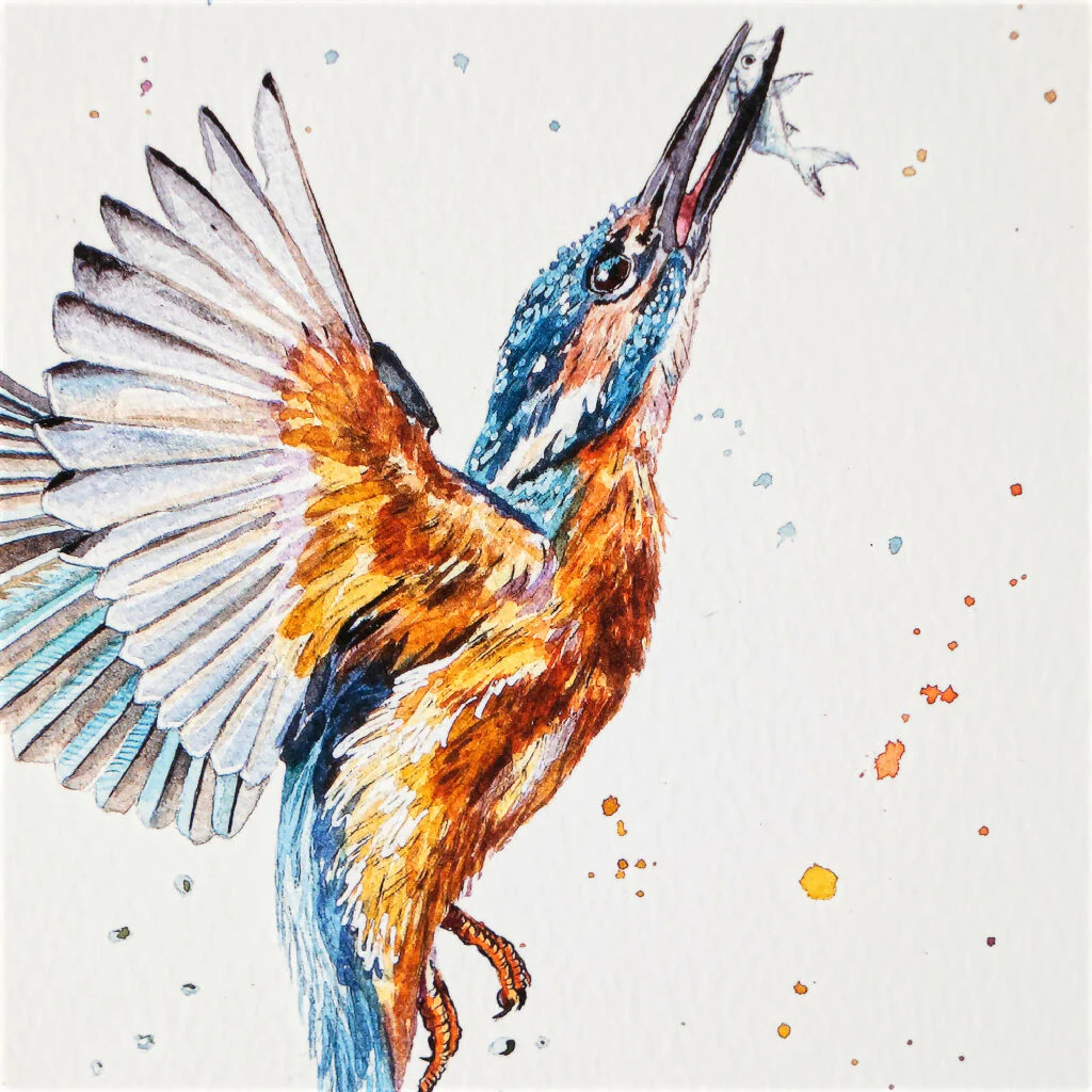 Kingfisher Limited Edition Print 'Gotcha' | Jina Gelder Illustration - Image 3