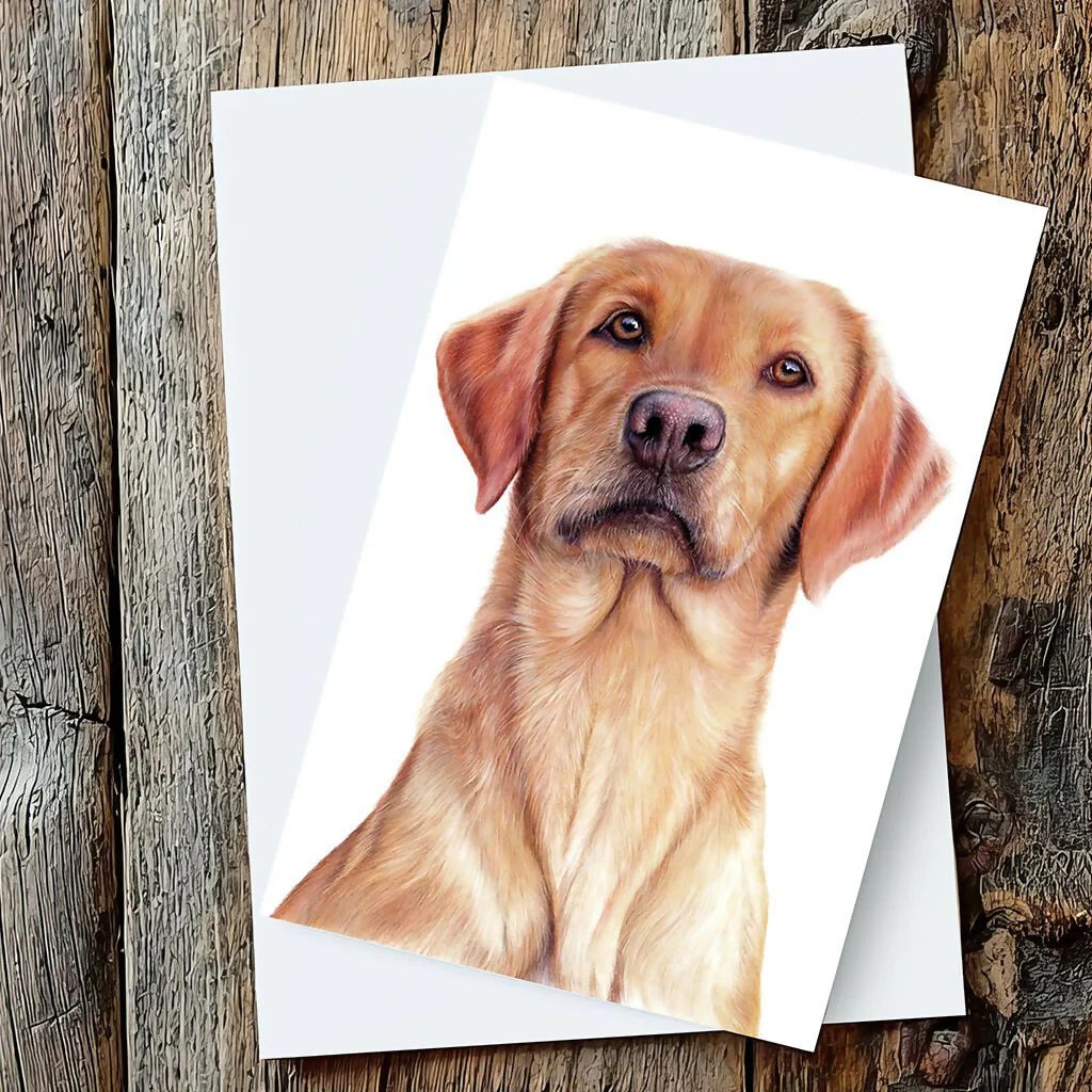 Labrador - Greeting Cards - Image 3