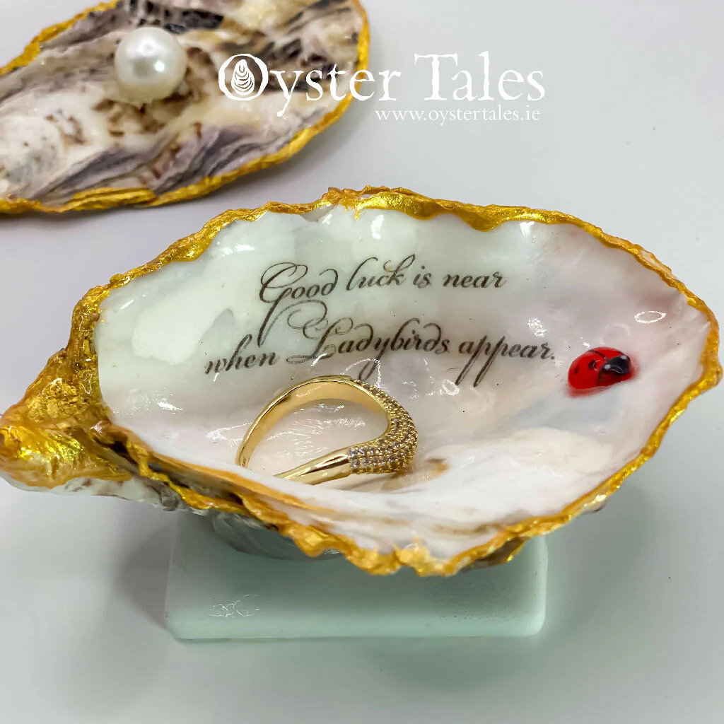Ladybirds appear.... - Oyster Ring/Trinket Dish - Image 6