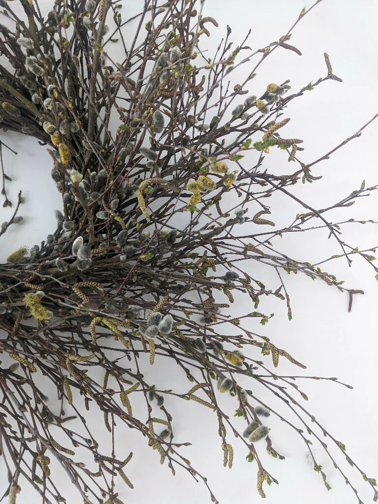 Large Birch & Pussy Willow Handmade Wreath - Image 3
