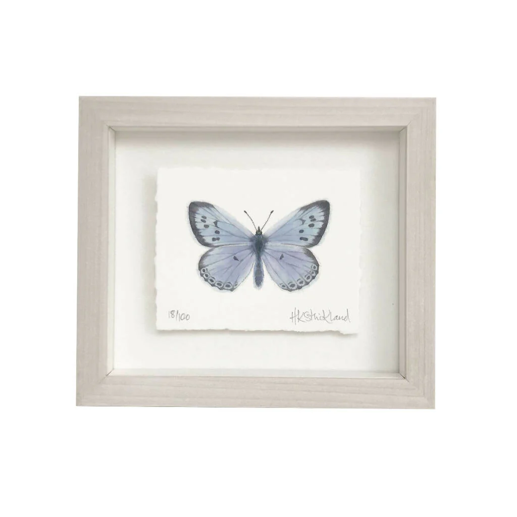 Large Blue Butterfly Framed Print - Image 2