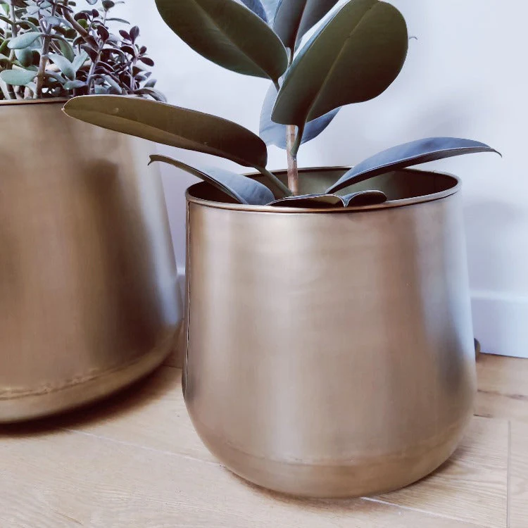 Large Brass Plant Pots - Image 3